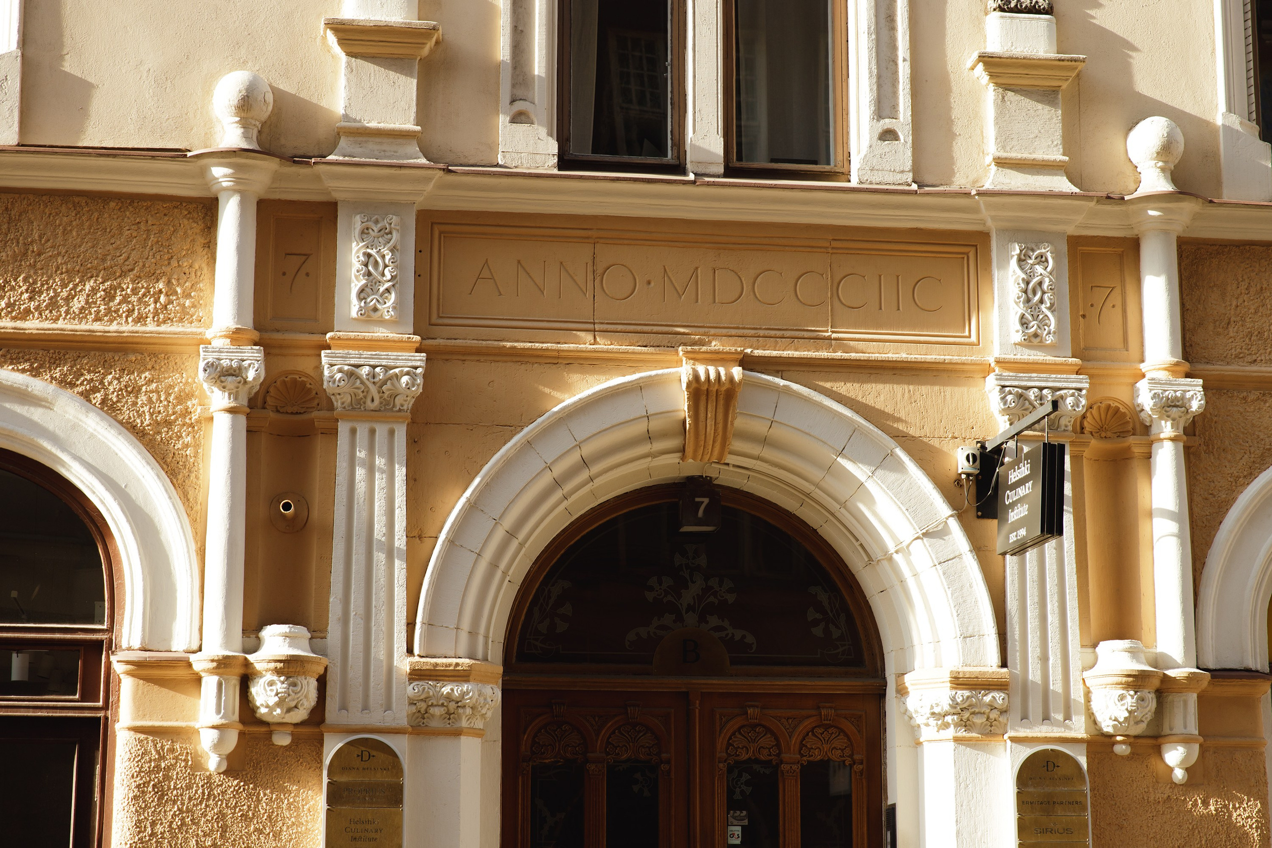 Helsinki. Kaja | fotograf psów we Wrocławiu