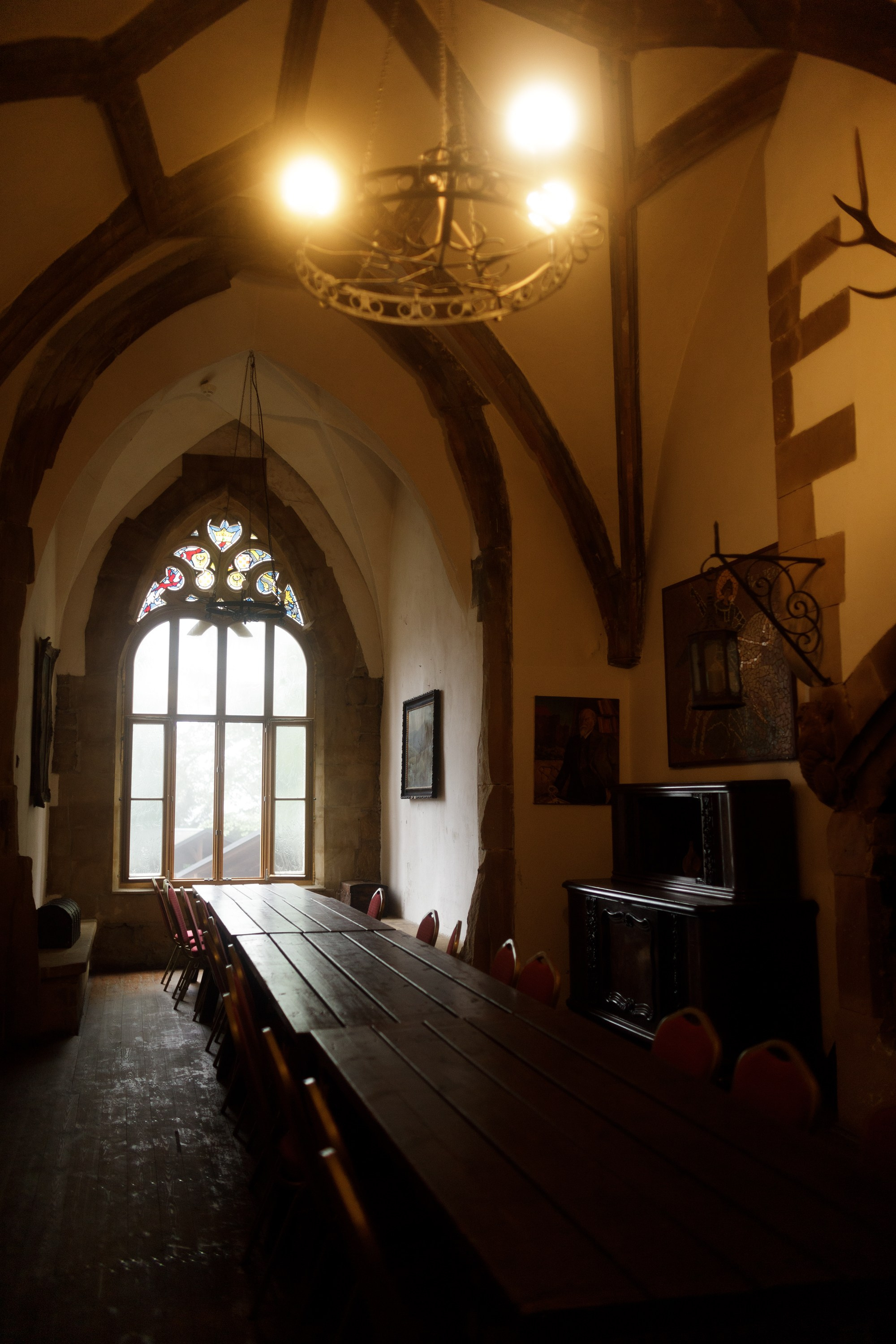 Zamek Grodziec. Kaja | fotograf psów we Wrocławiu