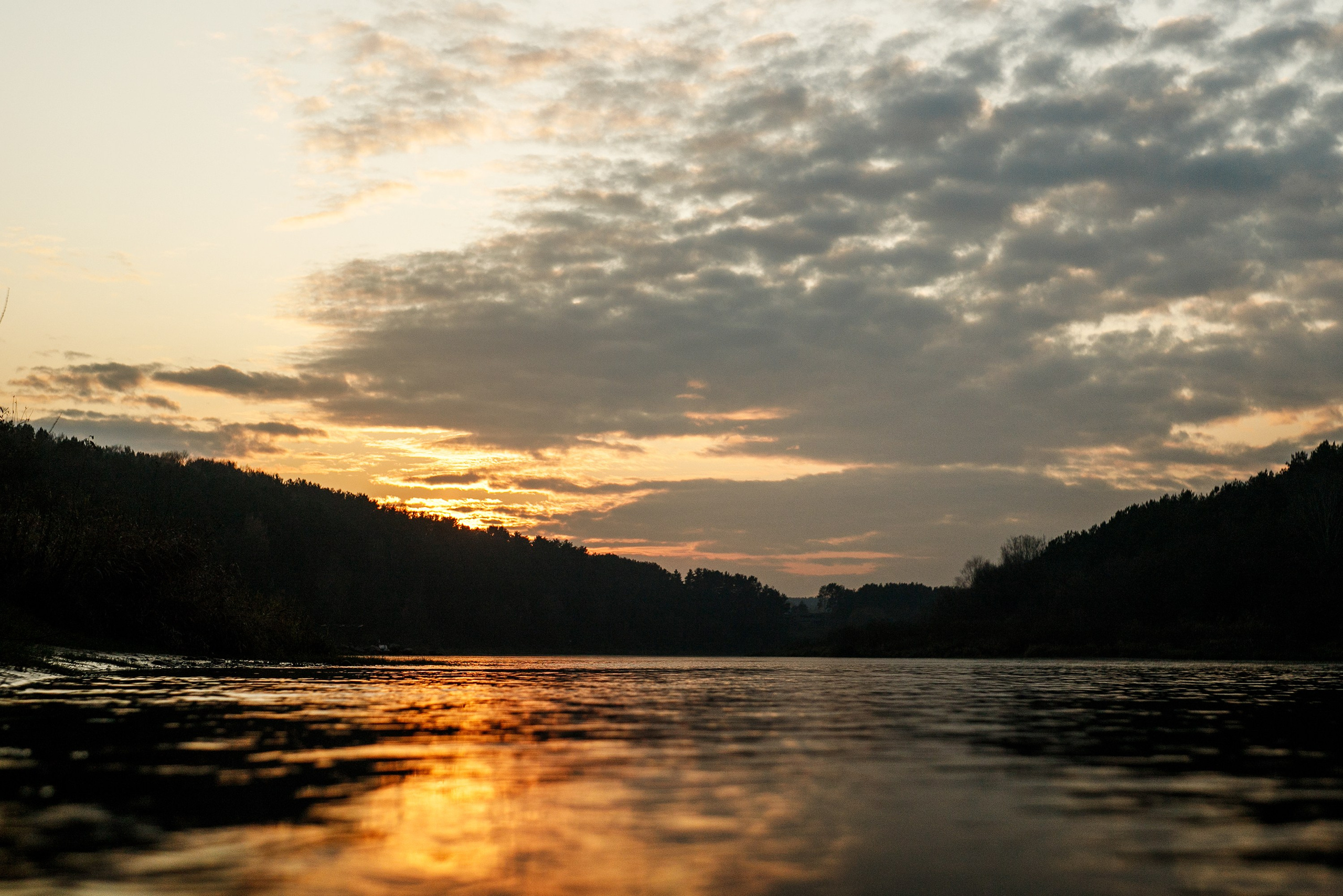 Polina. Kaja | fotograf psów we Wrocławiu