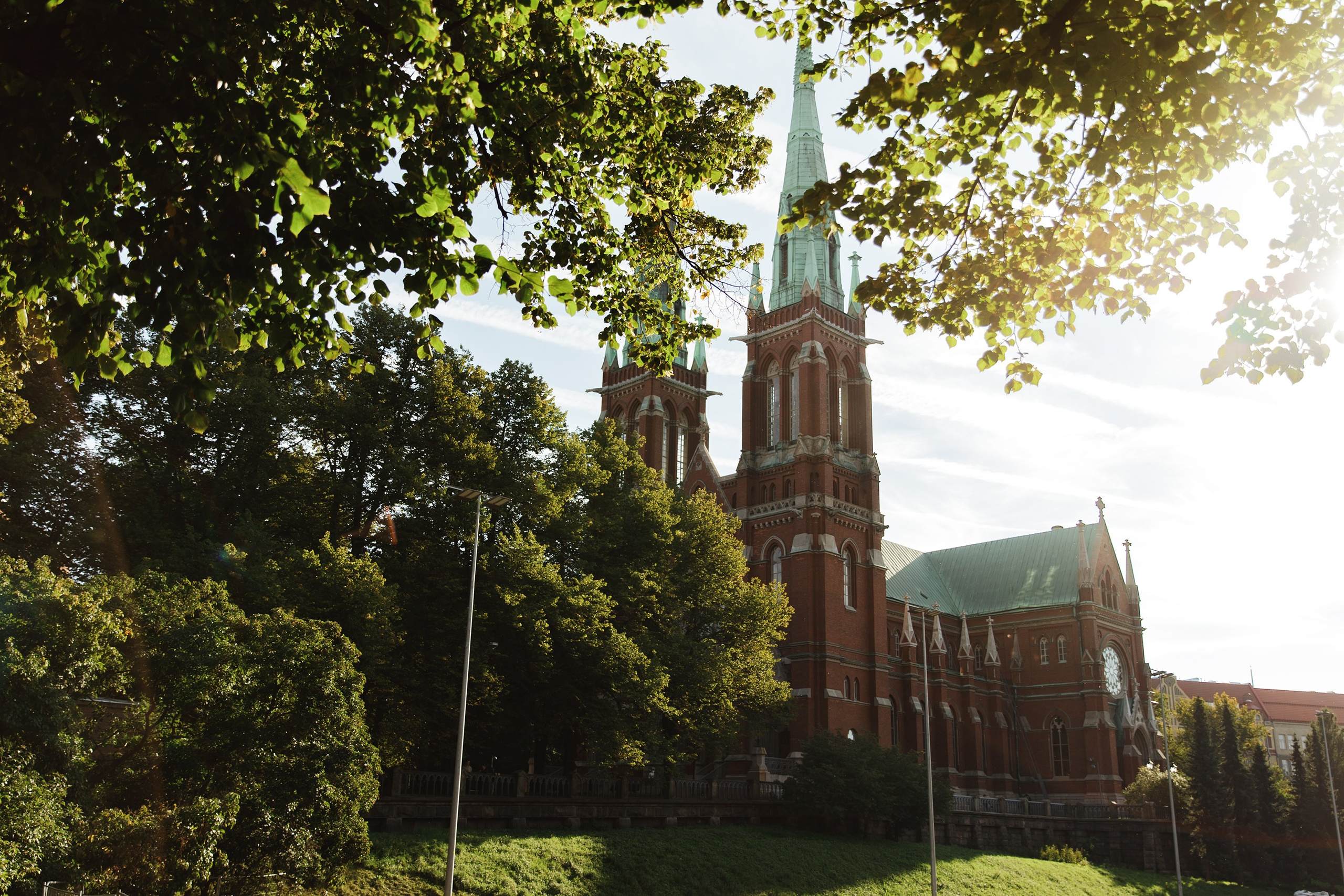 Helsinki. Kaja | fotograf psów we Wrocławiu