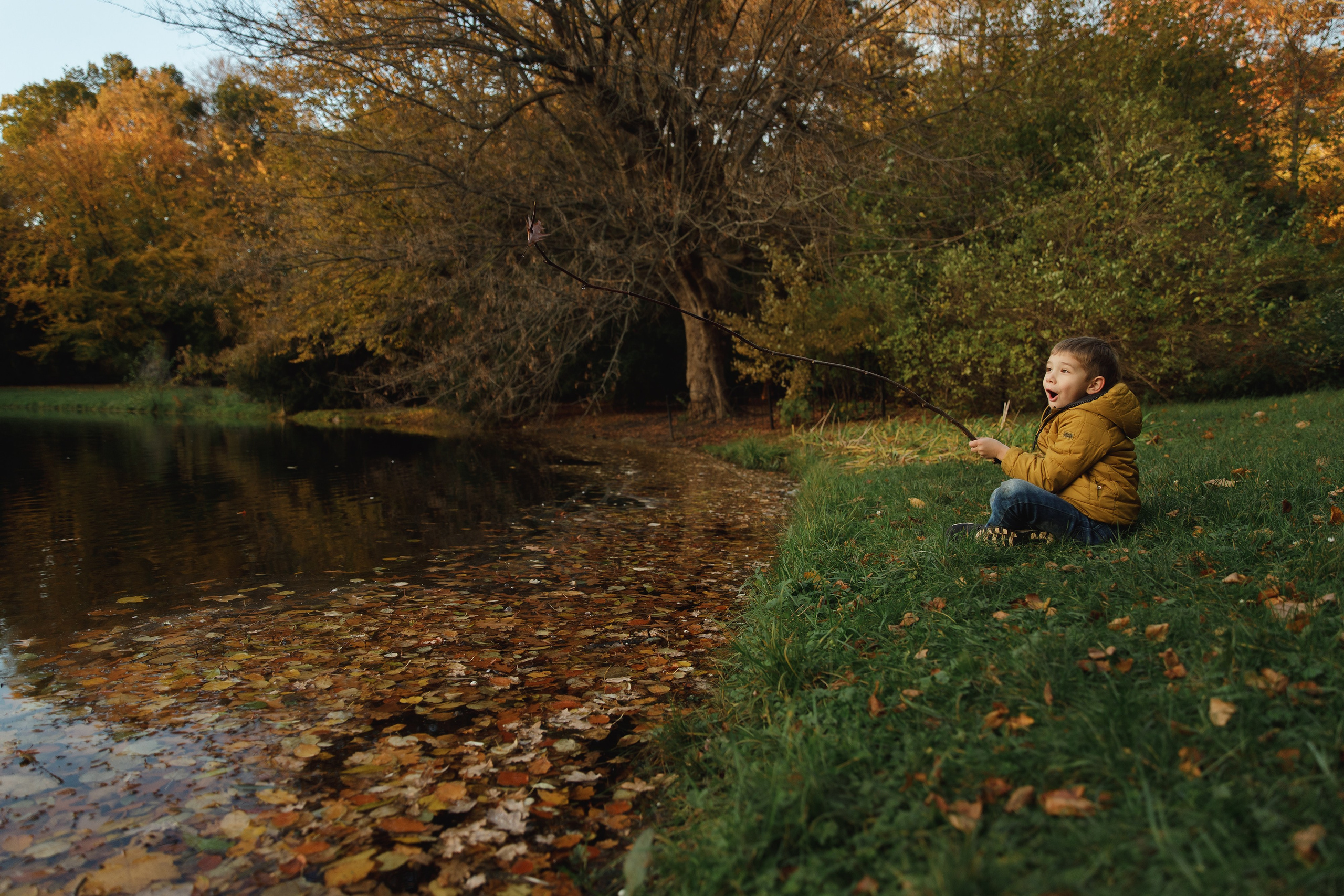 Tatiana & Adam. Kaja | fotograf psów we Wrocławiu