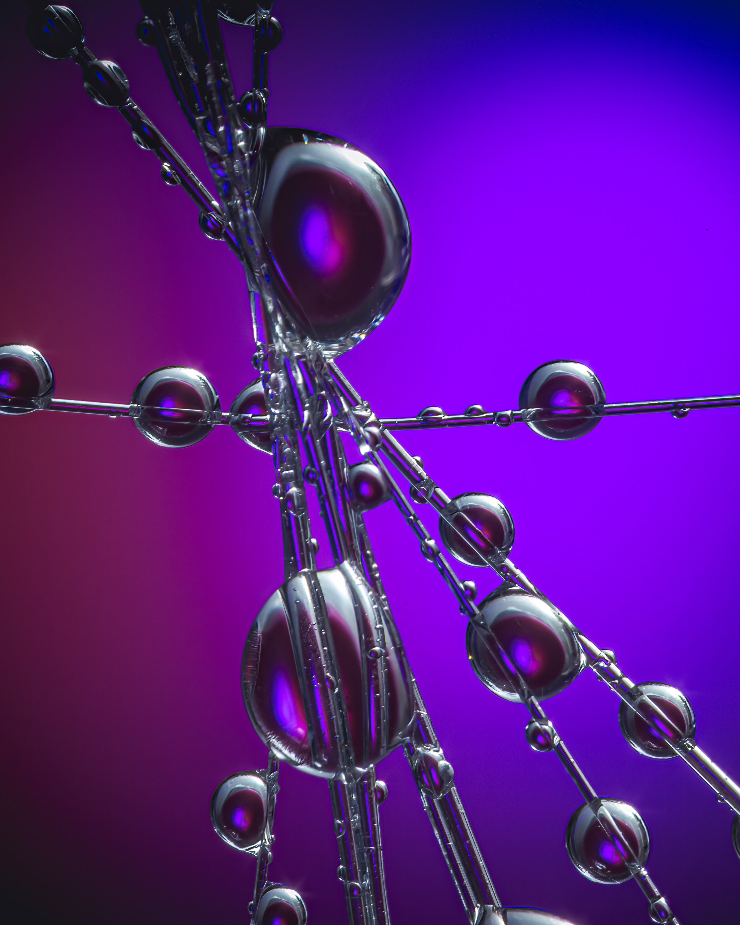 Portfolio. Creative Macro Photographer & Content Creator in Birmingham, UK — Lee Hall