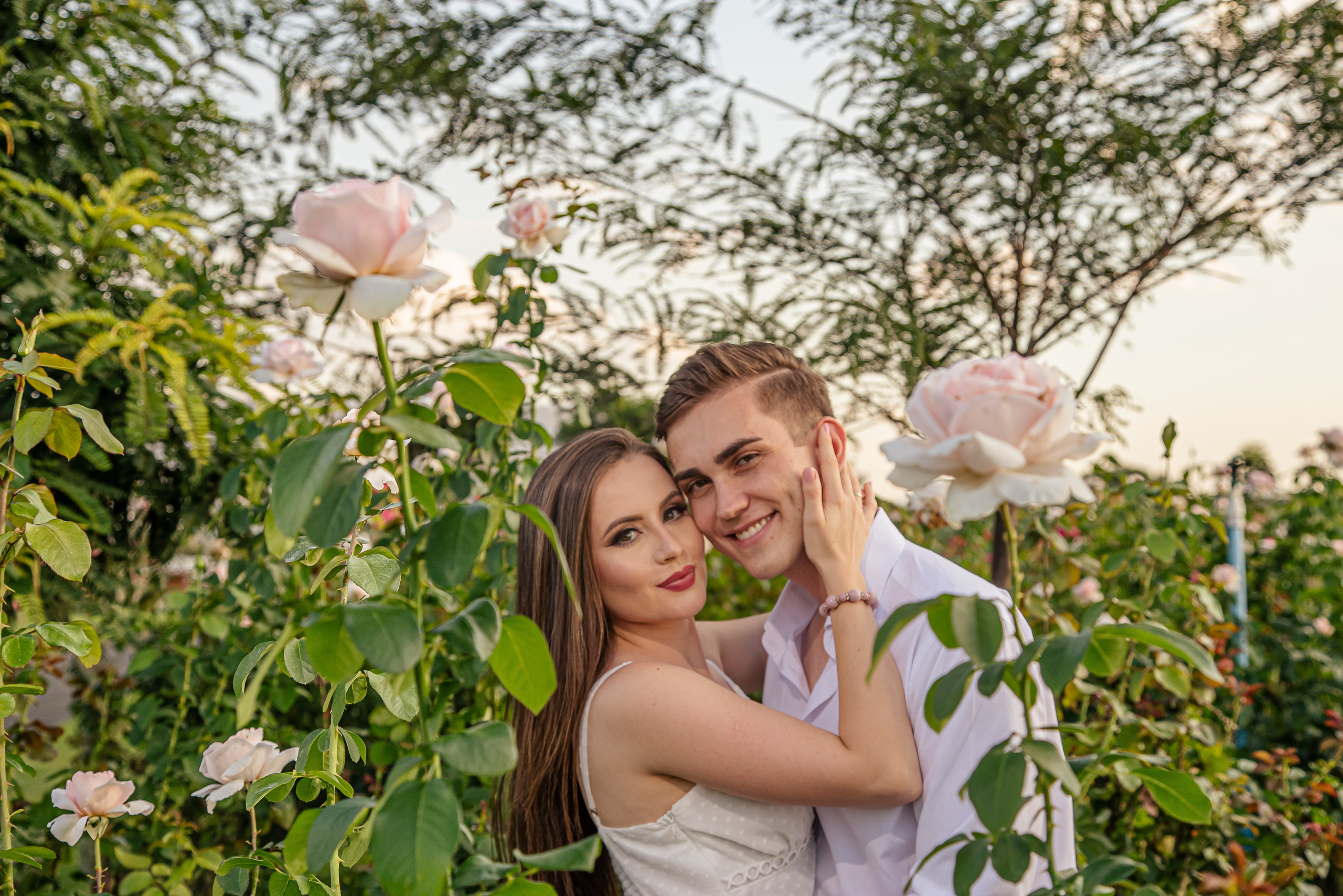 Ensaio Holambra. Tela cheia