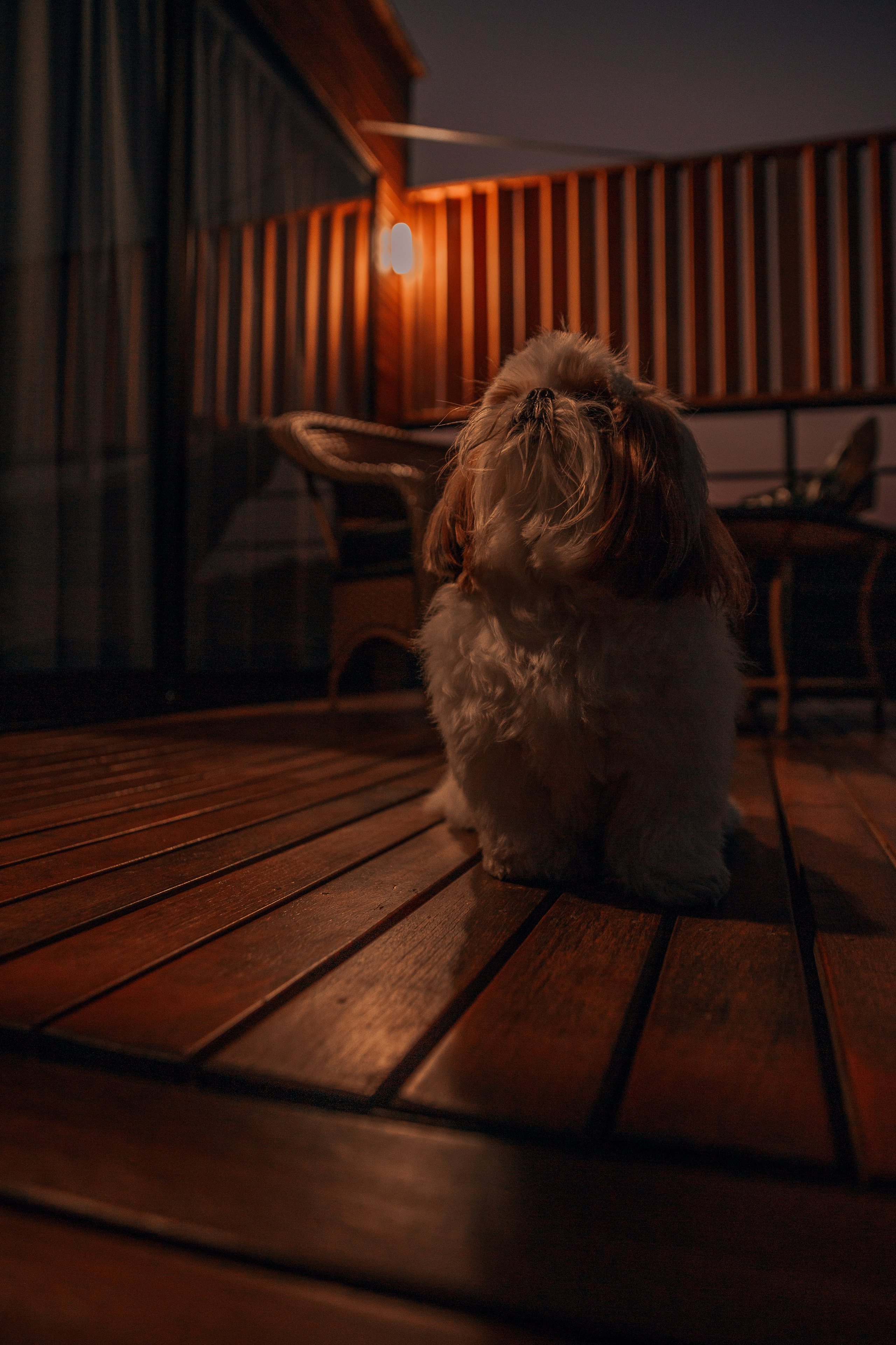 Retratos e Corporativo. Thiago Chinellato
