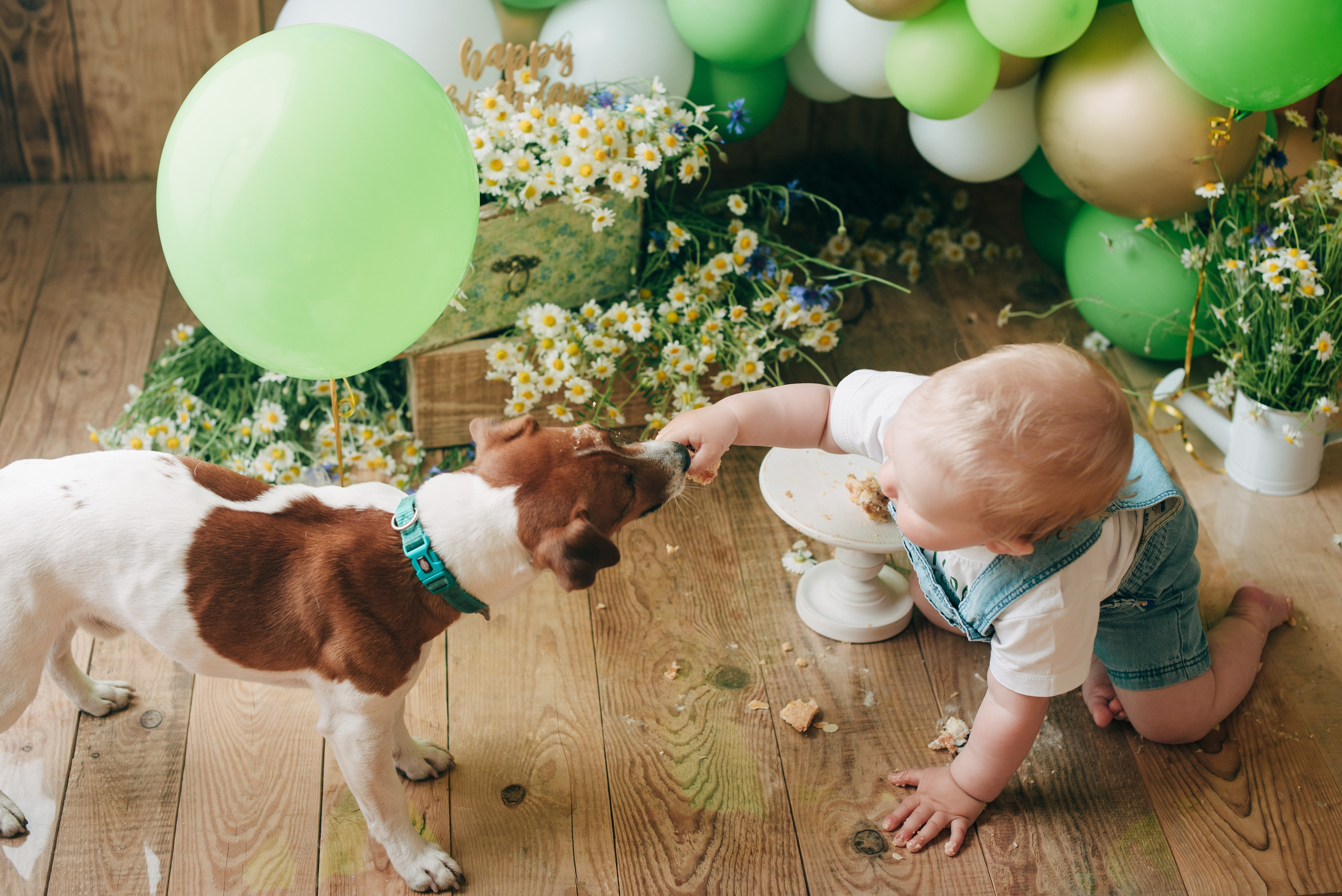 SVYATOSLAV. Https://newbornphoto.wfolio.pro/me