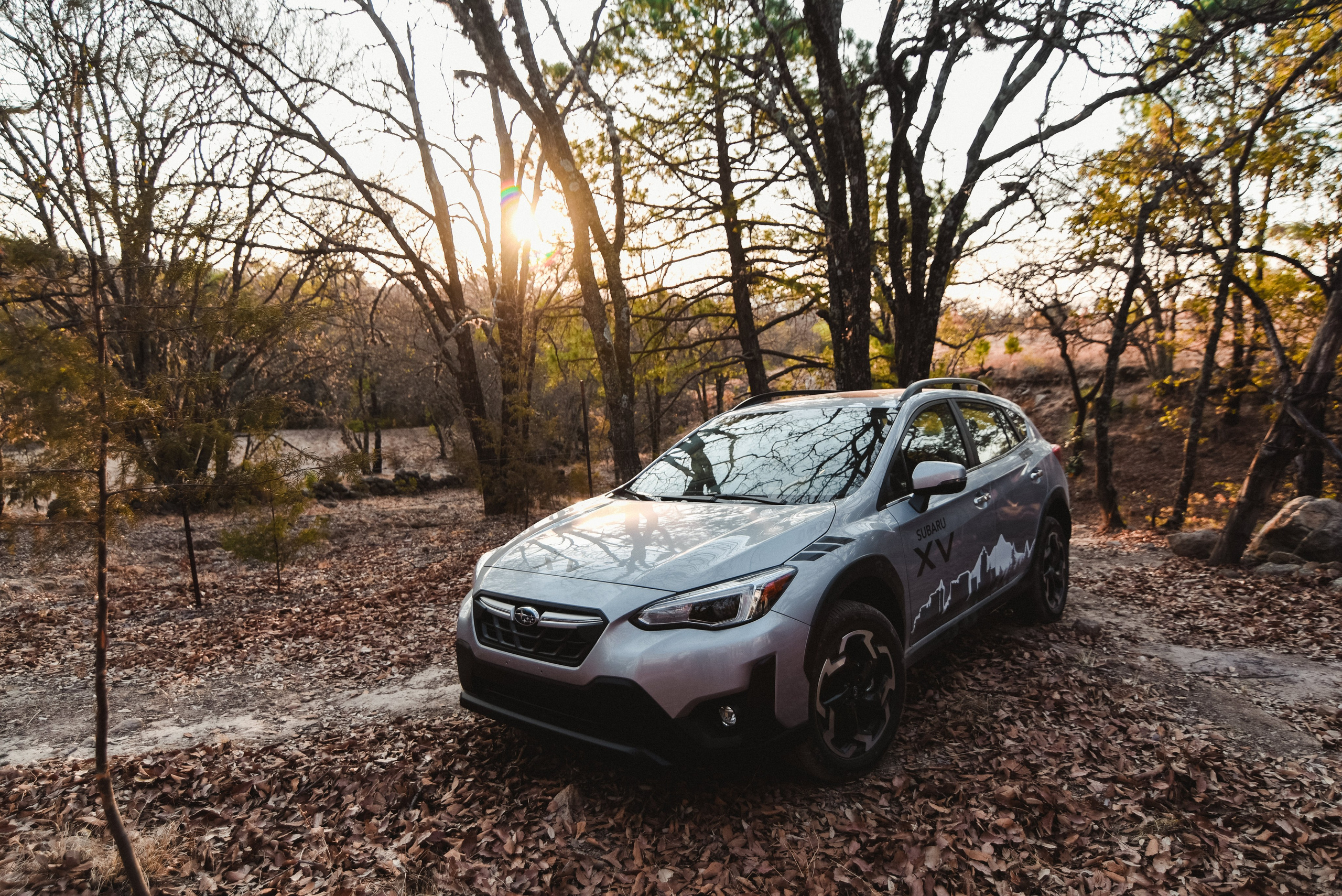 Subaru Autos. Miguelsalasfoto