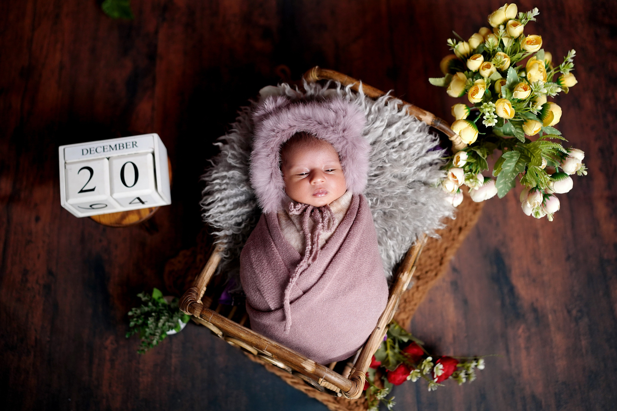New born. TNF photo & filming