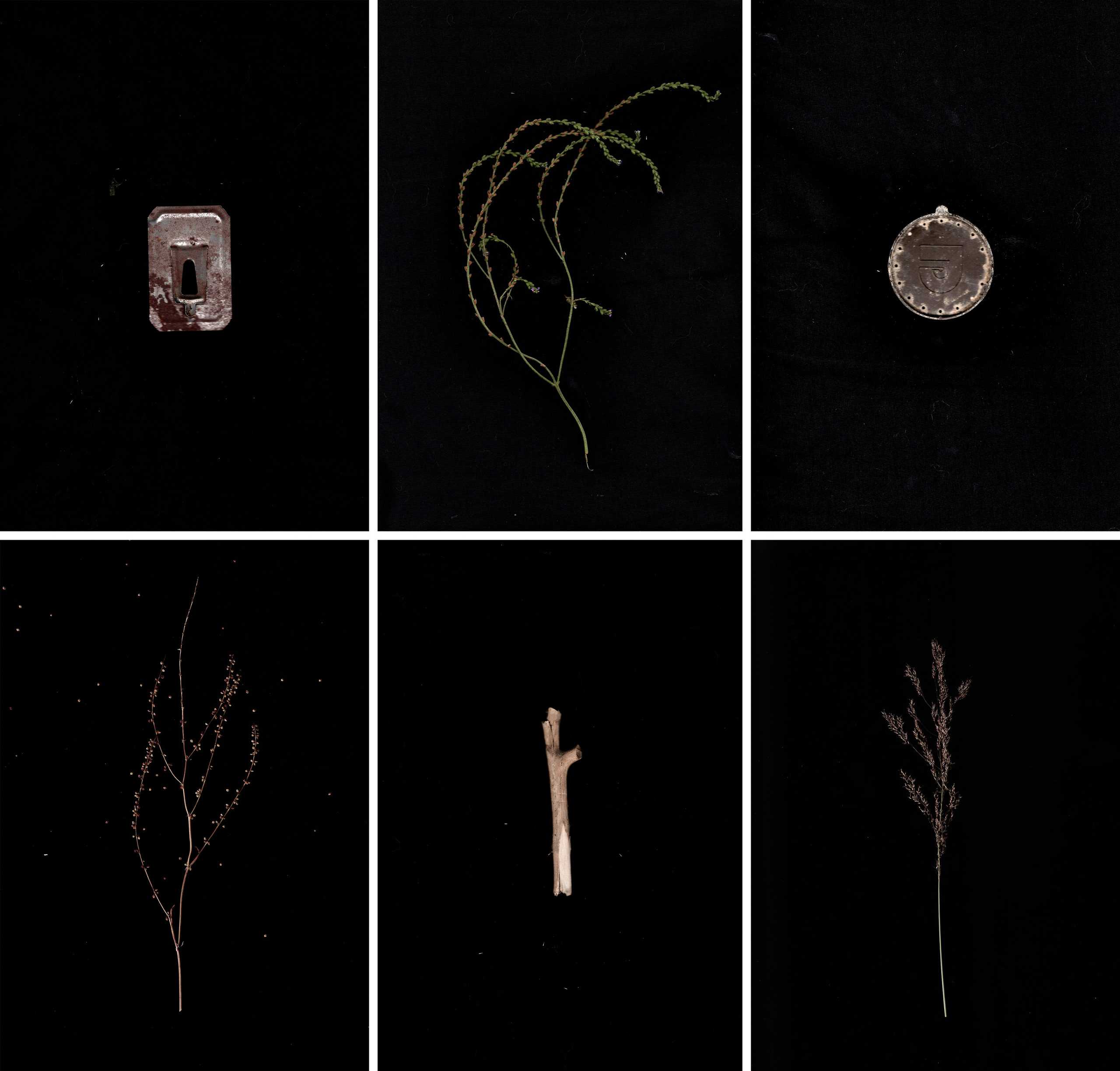 Nothing passes clean when the current enters us. Jana Gertz