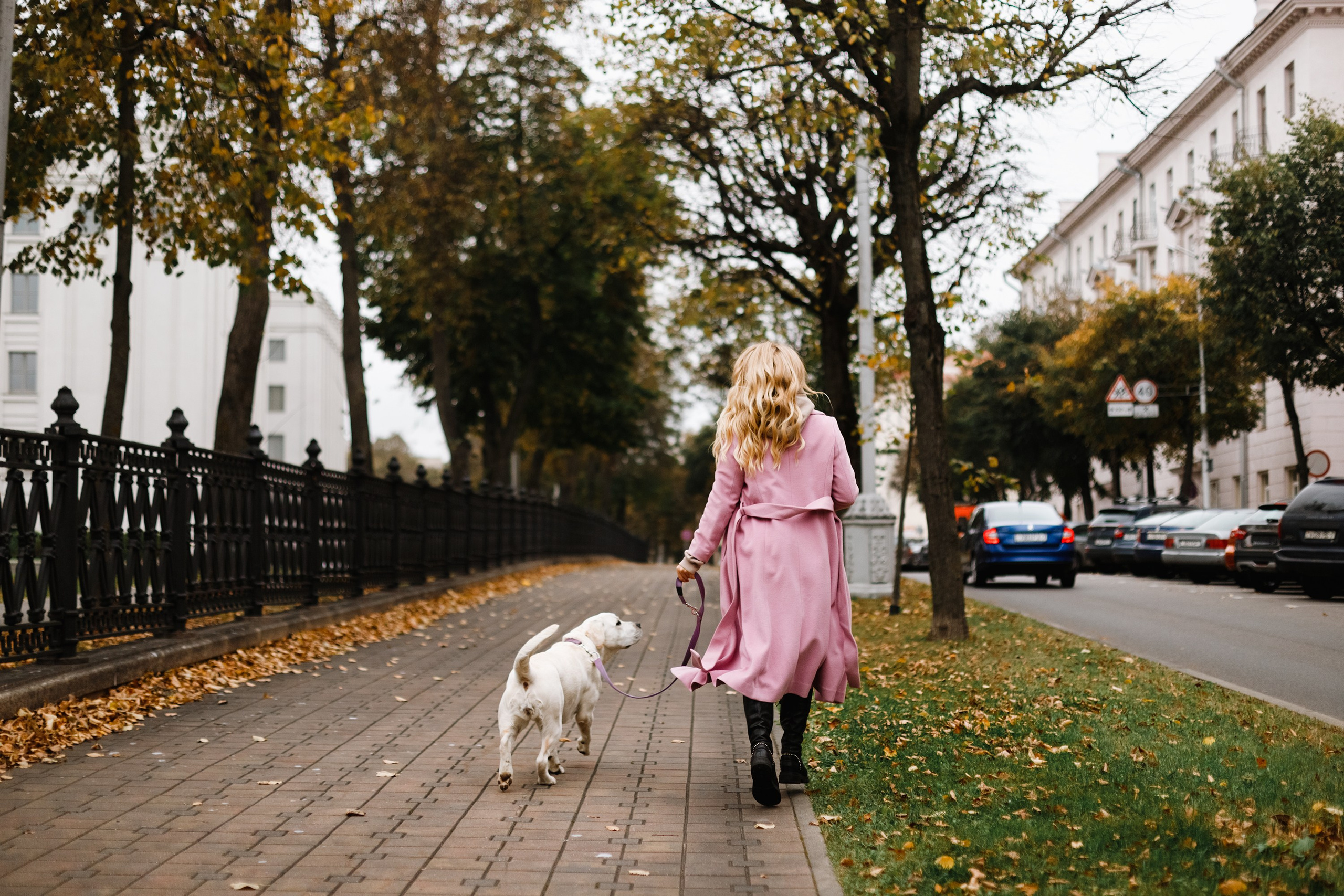 Tatiana & Tessa. Kaja | fotograf we Wrocławiu | ludzie i psy