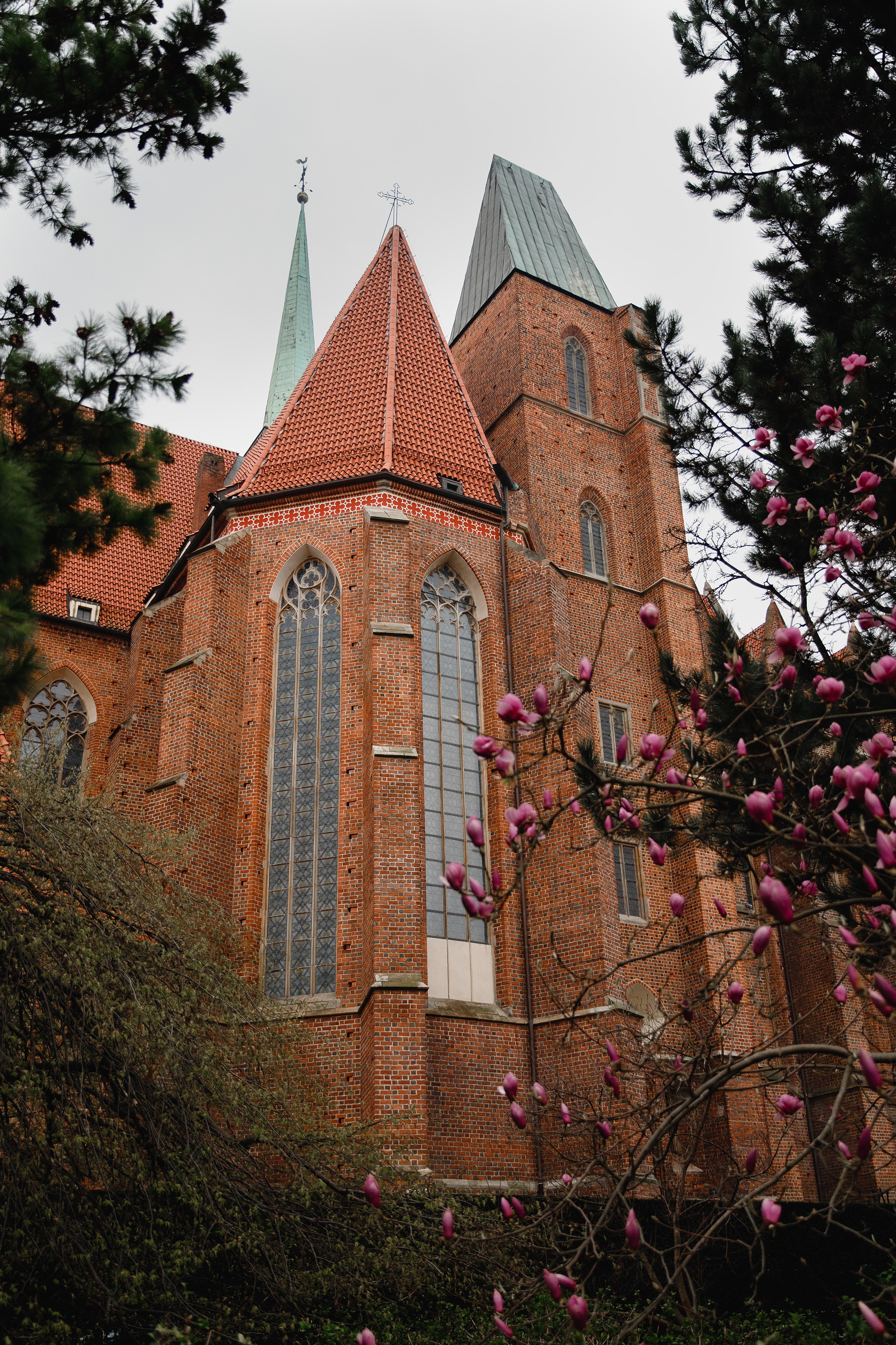 Botanical garden in Wroclaw. Kaja | fotograf we Wrocławiu | ludzie i psy