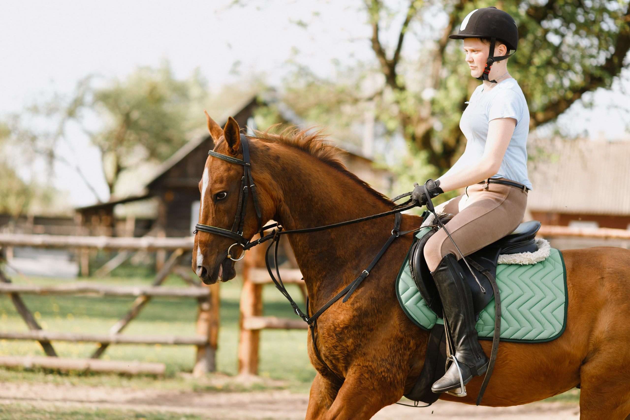 Girls & horses, summer. Kaja | fotograf psów we Wrocławiu