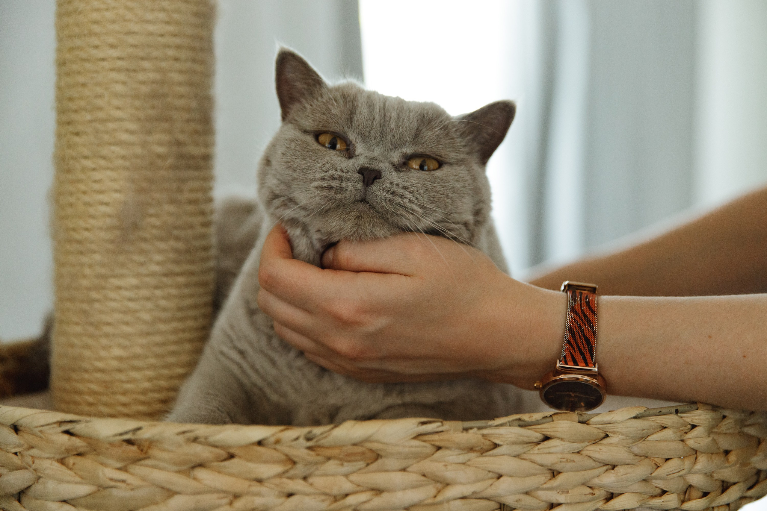 Boczka & Dimitrii. Kaja | fotograf we Wrocławiu | ludzie i psy