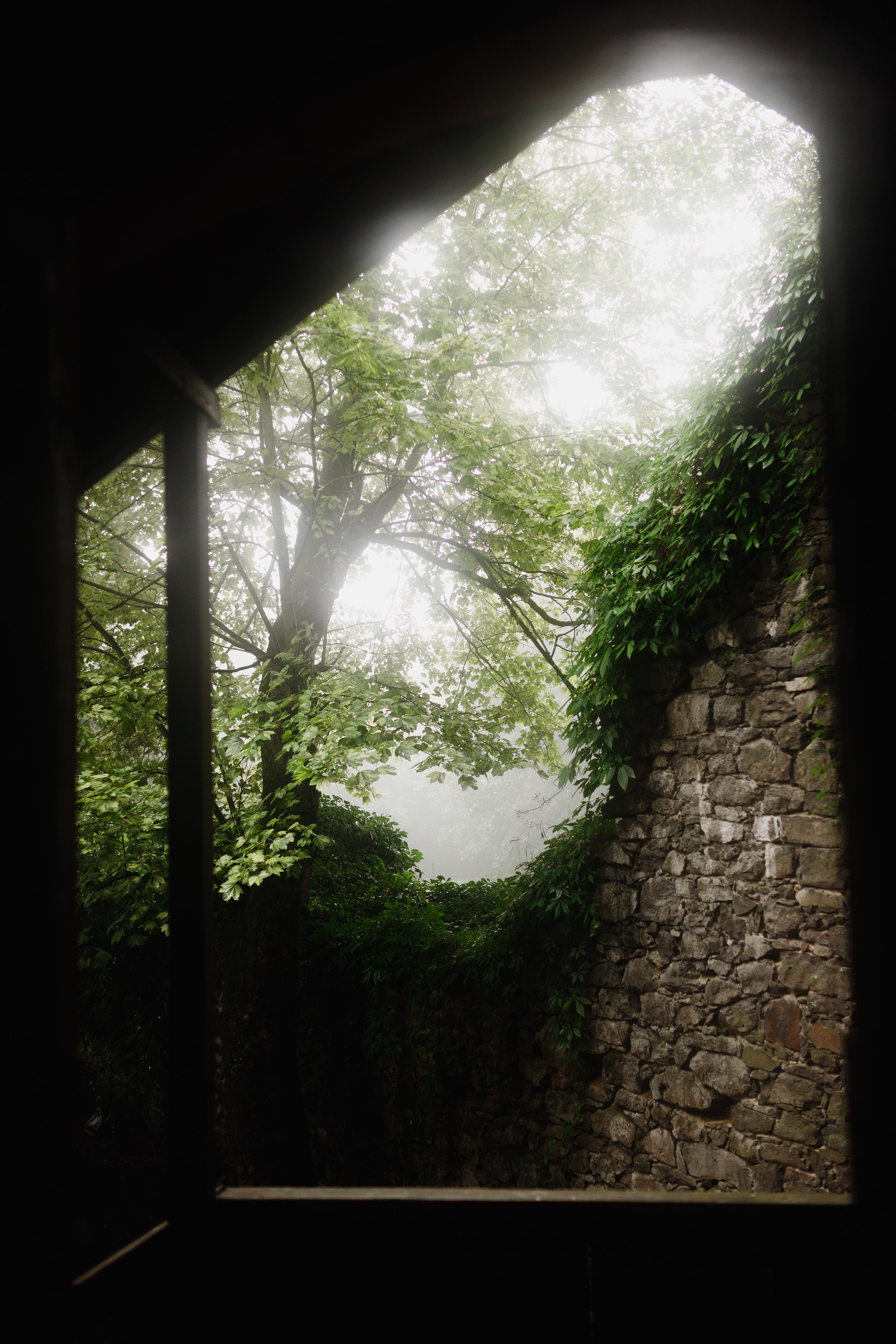 Zamek Grodziec. Kaja | fotograf psów we Wrocławiu