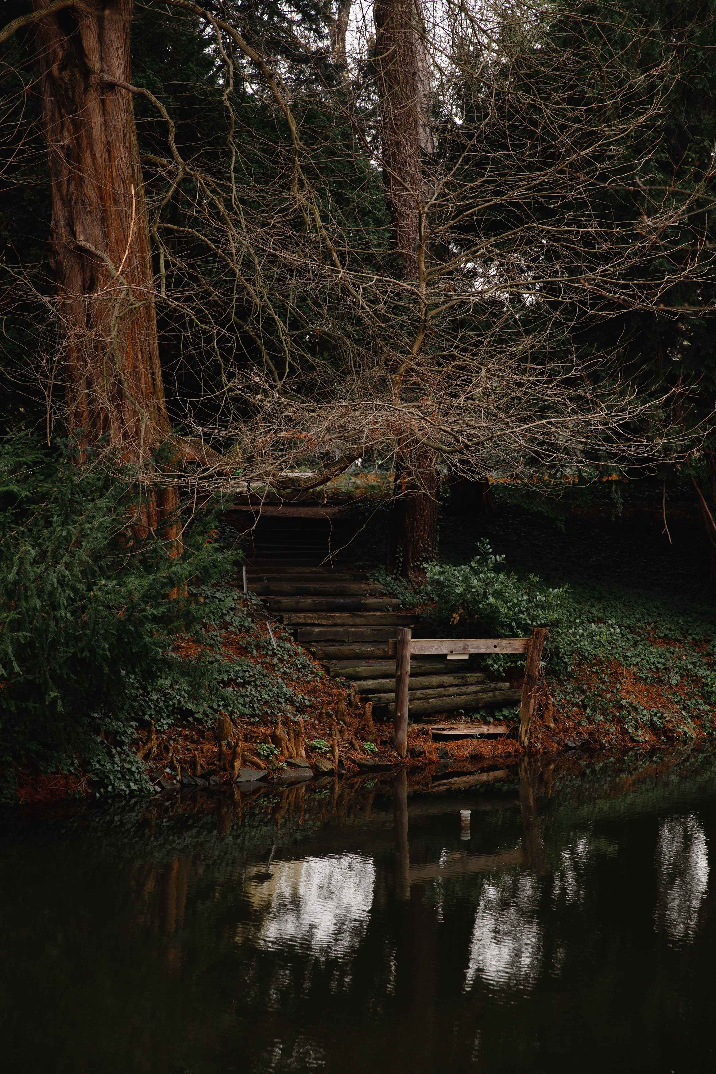 Botanical garden in Wroclaw. Kaja | fotograf we Wrocławiu | ludzie i psy