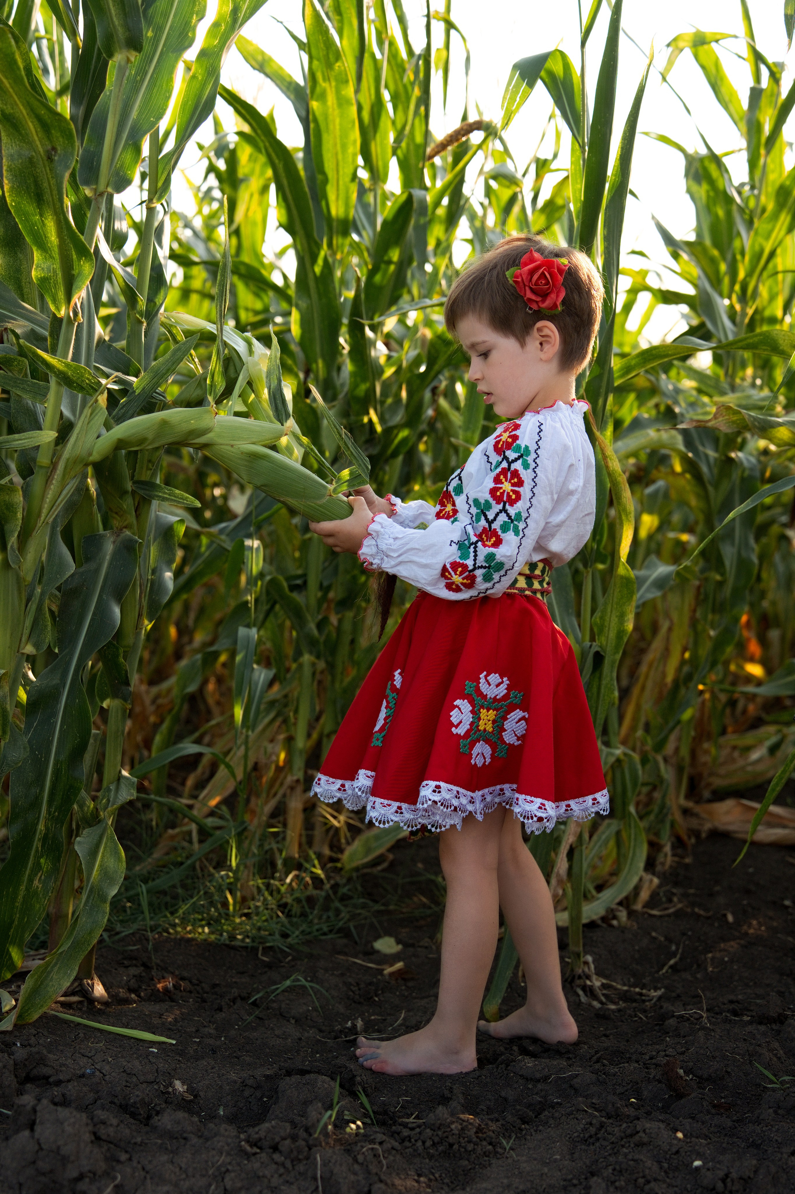 Фотосессия в поле в Молдове — съёмка на природе