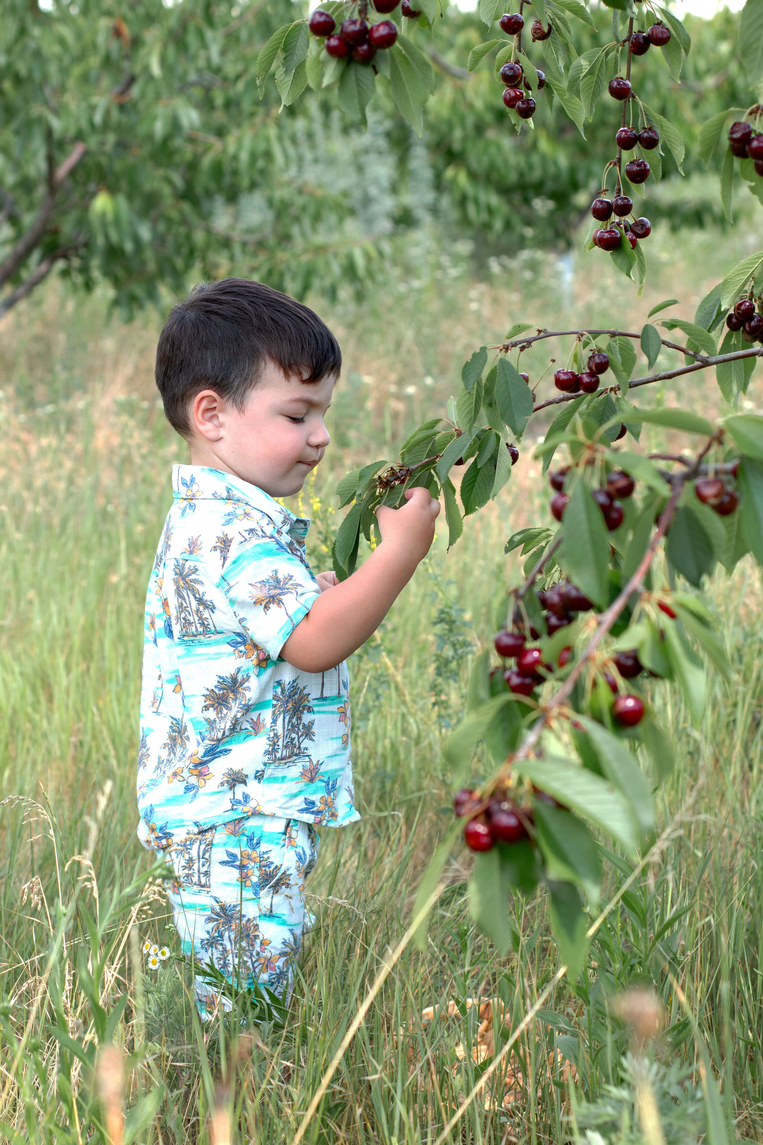 Уличные фотосессии в Бельцах — съёмка на природе и в городе