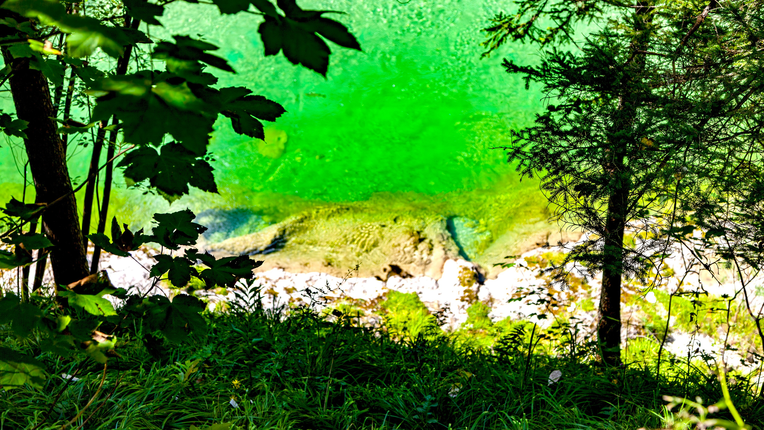 193.Wasserloch Klamm.Palfau.18.8.2025. Путешествия в формате 360......
