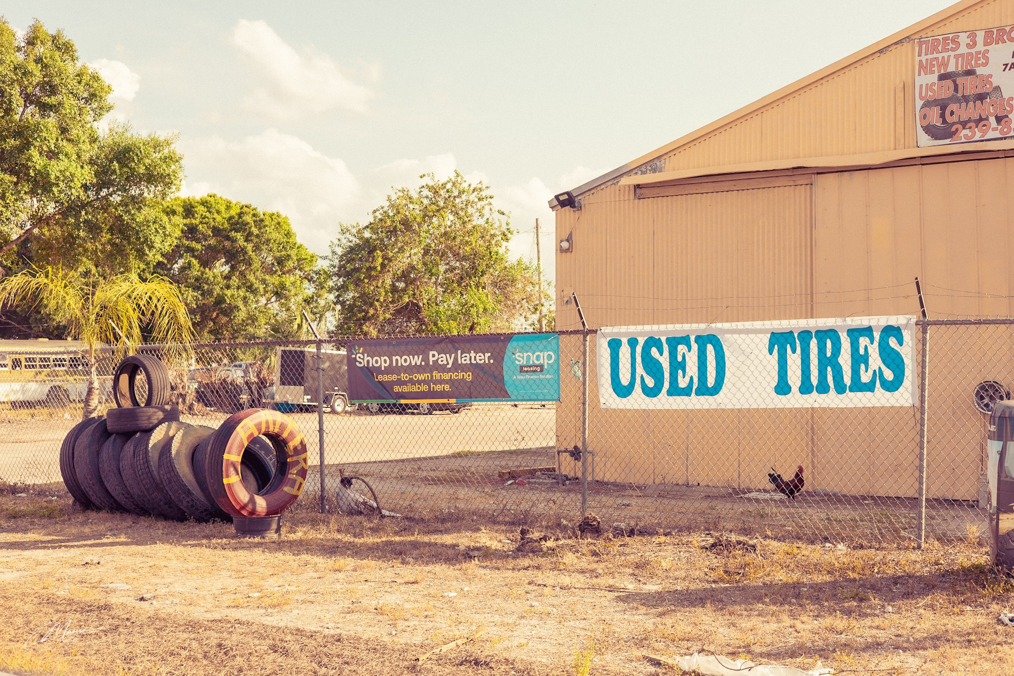 Americana — Immokolee. Out and About 239