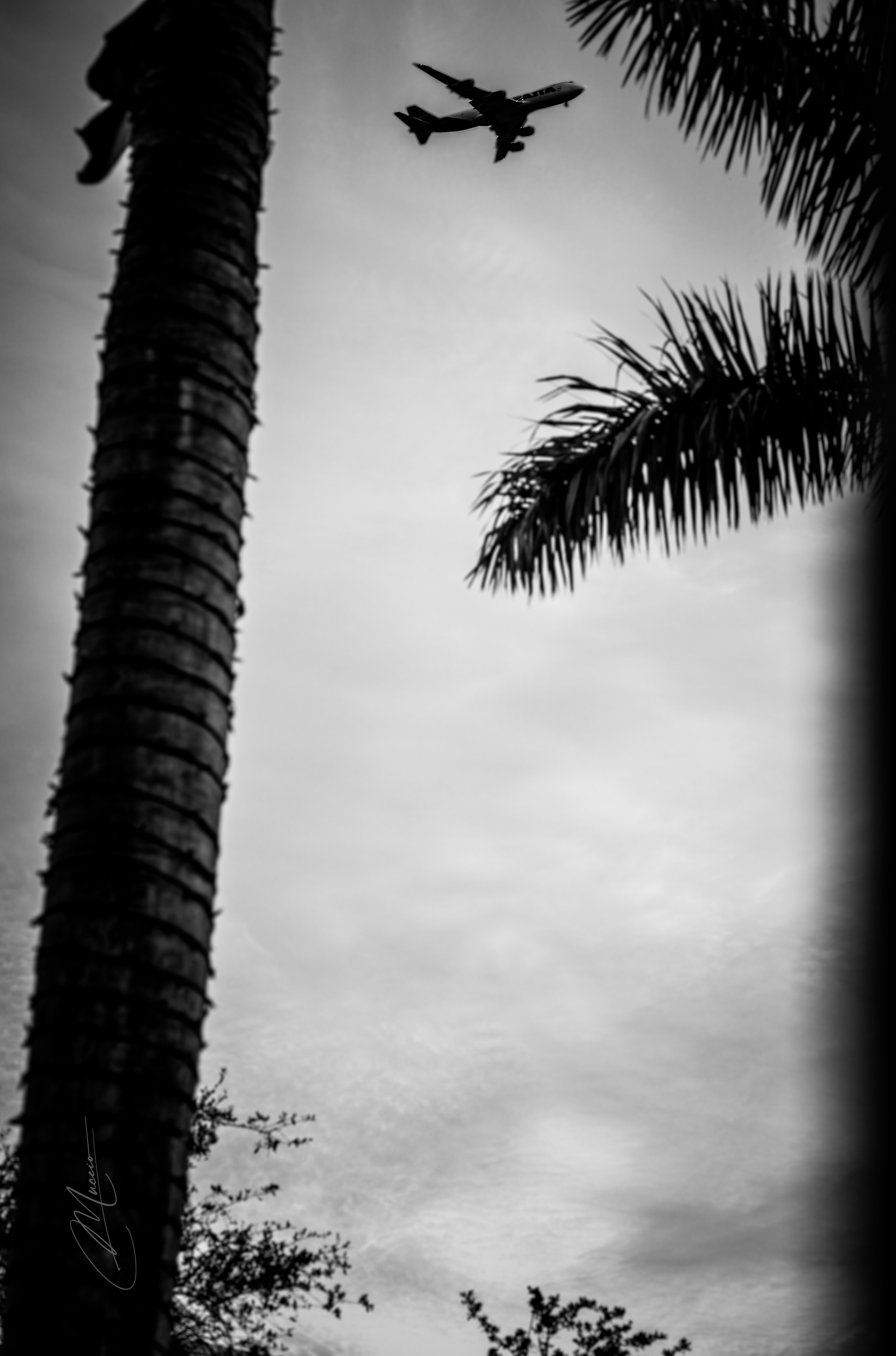 Black and White. Out and About 239