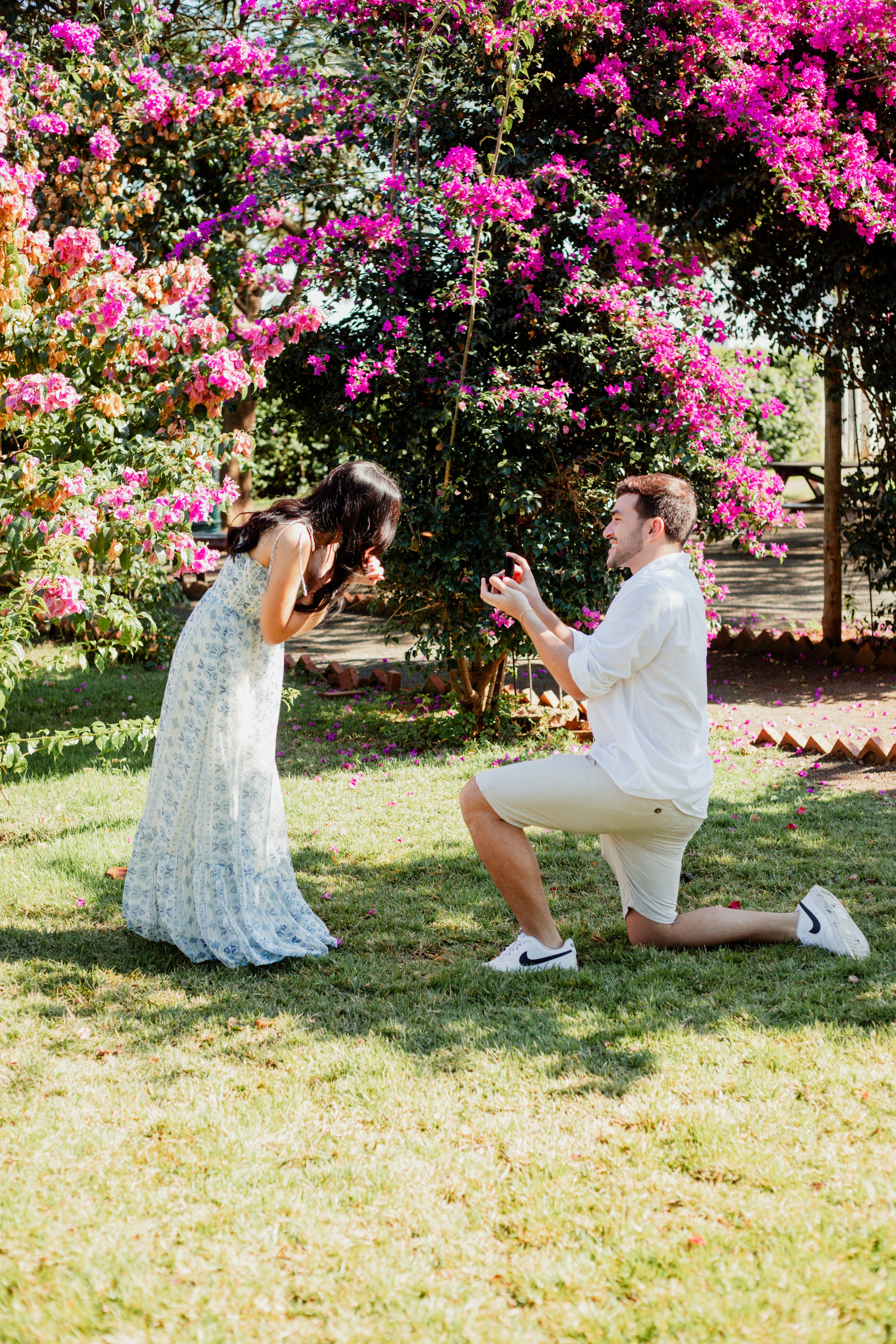Pedido de casamento /Emilly e Yan. Joyce Maria Fotografia | Fotógrafa em Holambra