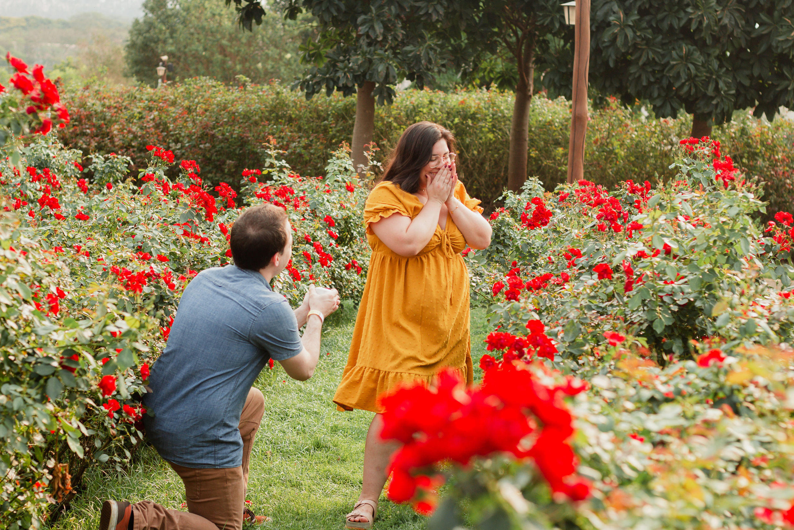 Pedido de Casamento e Pré-Wedding em Holambra | Joyce Maria Fotografia. Joyce Maria Fotografia | Fotógrafa em Holambra