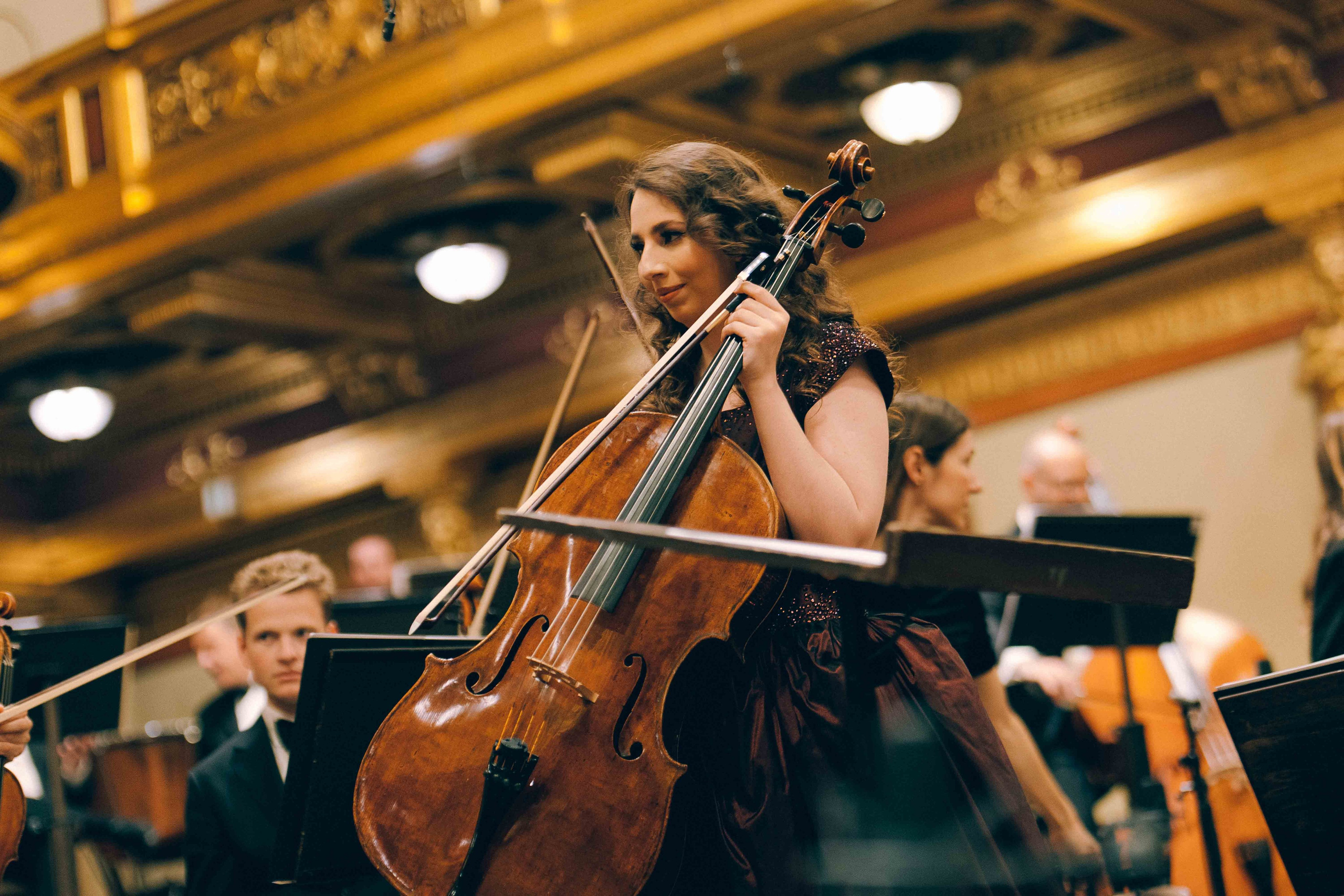 MUSIKVEREIN (VIENNA). Wedding&Event photographer Ismail Rzayev in Baku