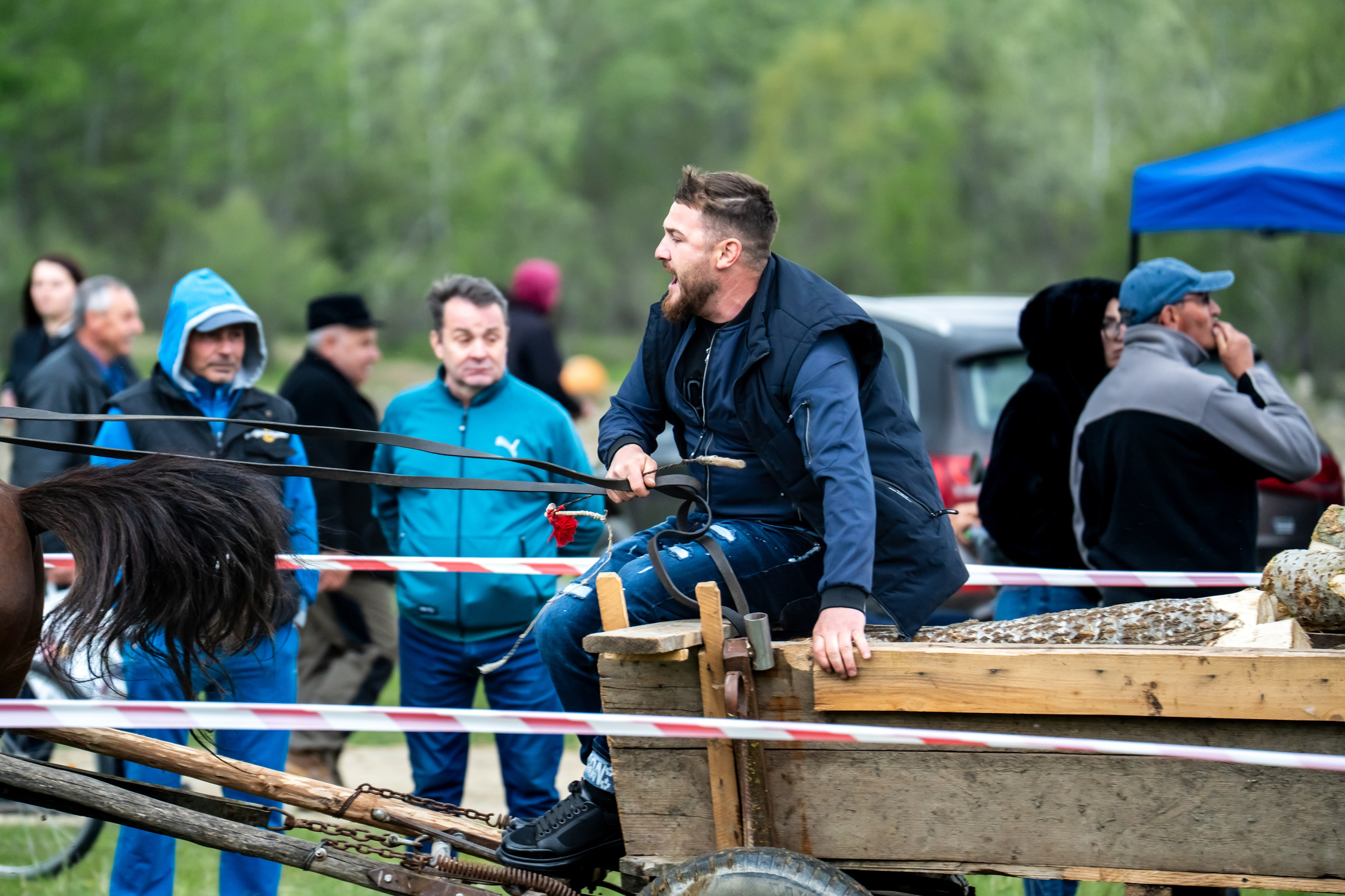 Concurs Ecvestru Vărbilău ediția a 4-a. Mihai Alexandra Events