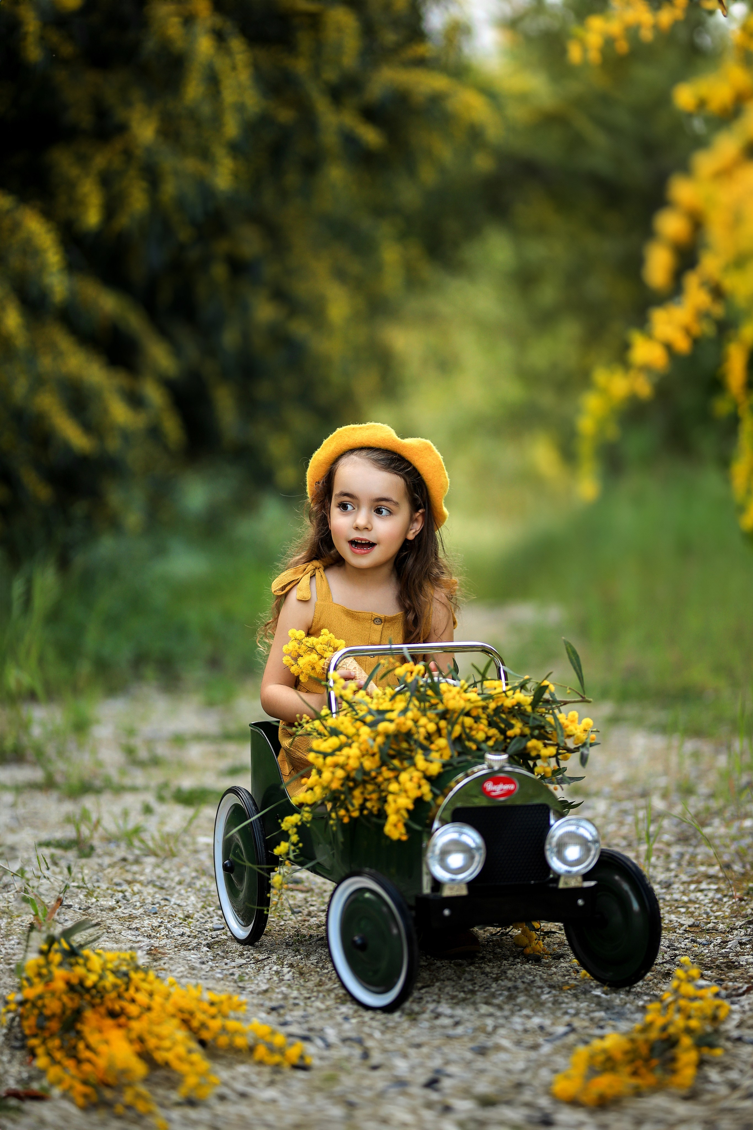 Photoshooting in mimosa. Photographer in Turkey, Antalya, Kemer, Belek, Side, Kas, Fethiye