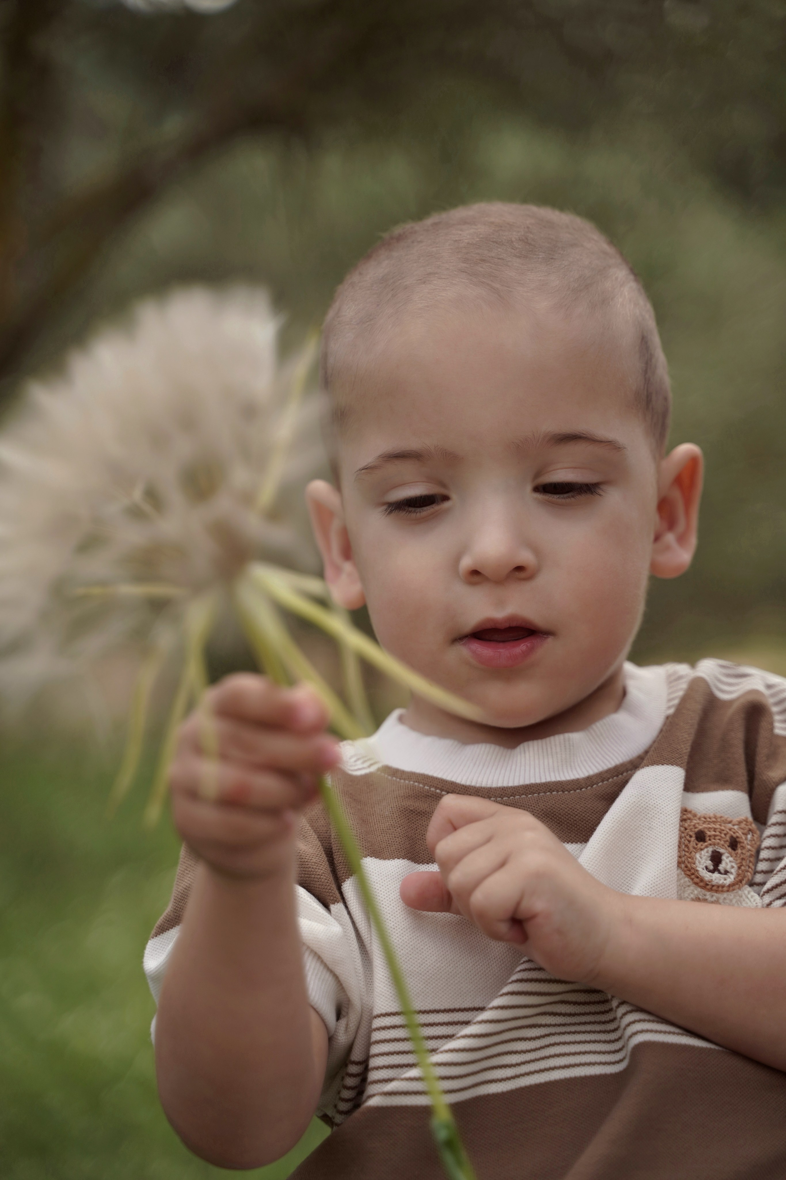 Семейная история | צילומי משפחתי. Фотограф. Визуал. Хайфа. Талья Цветкова