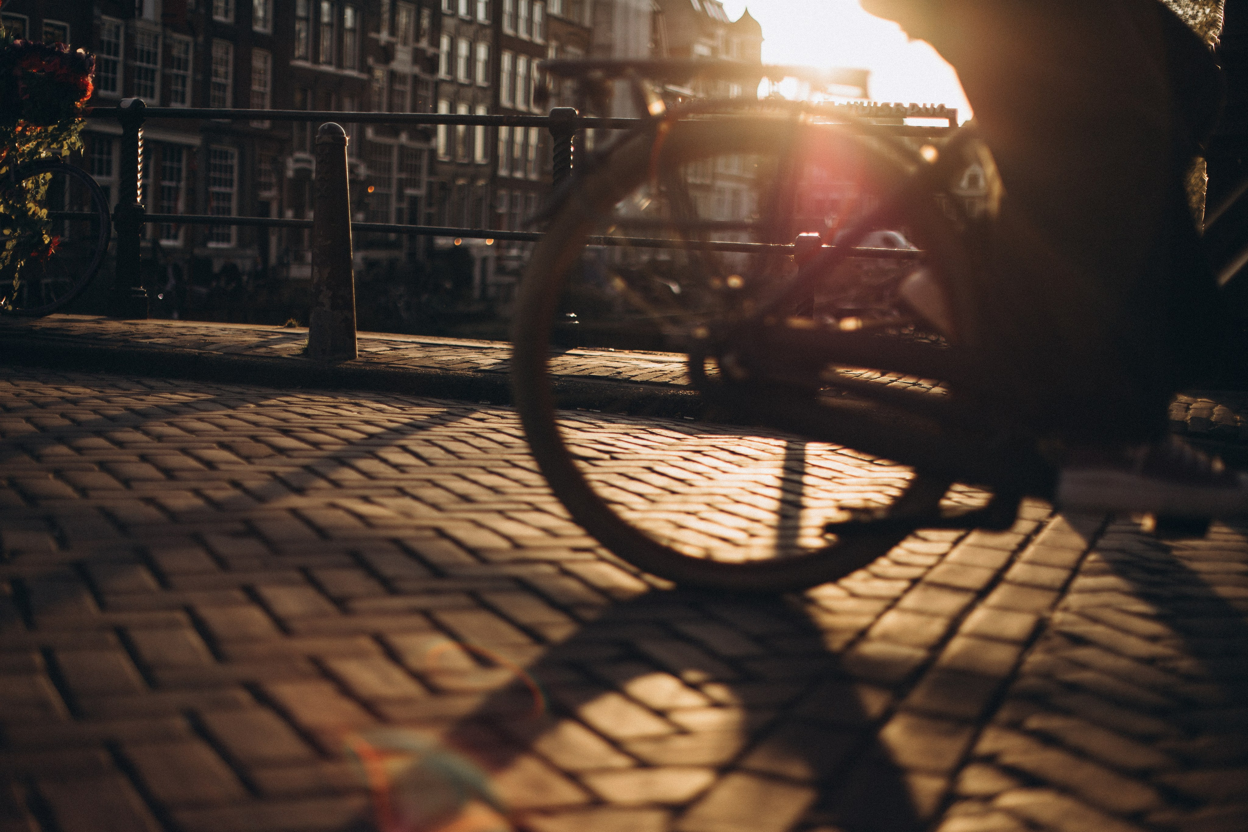 The perfect Sunset. Amsterdam Photographer, Families, Couples & Expats — Diana Andoni