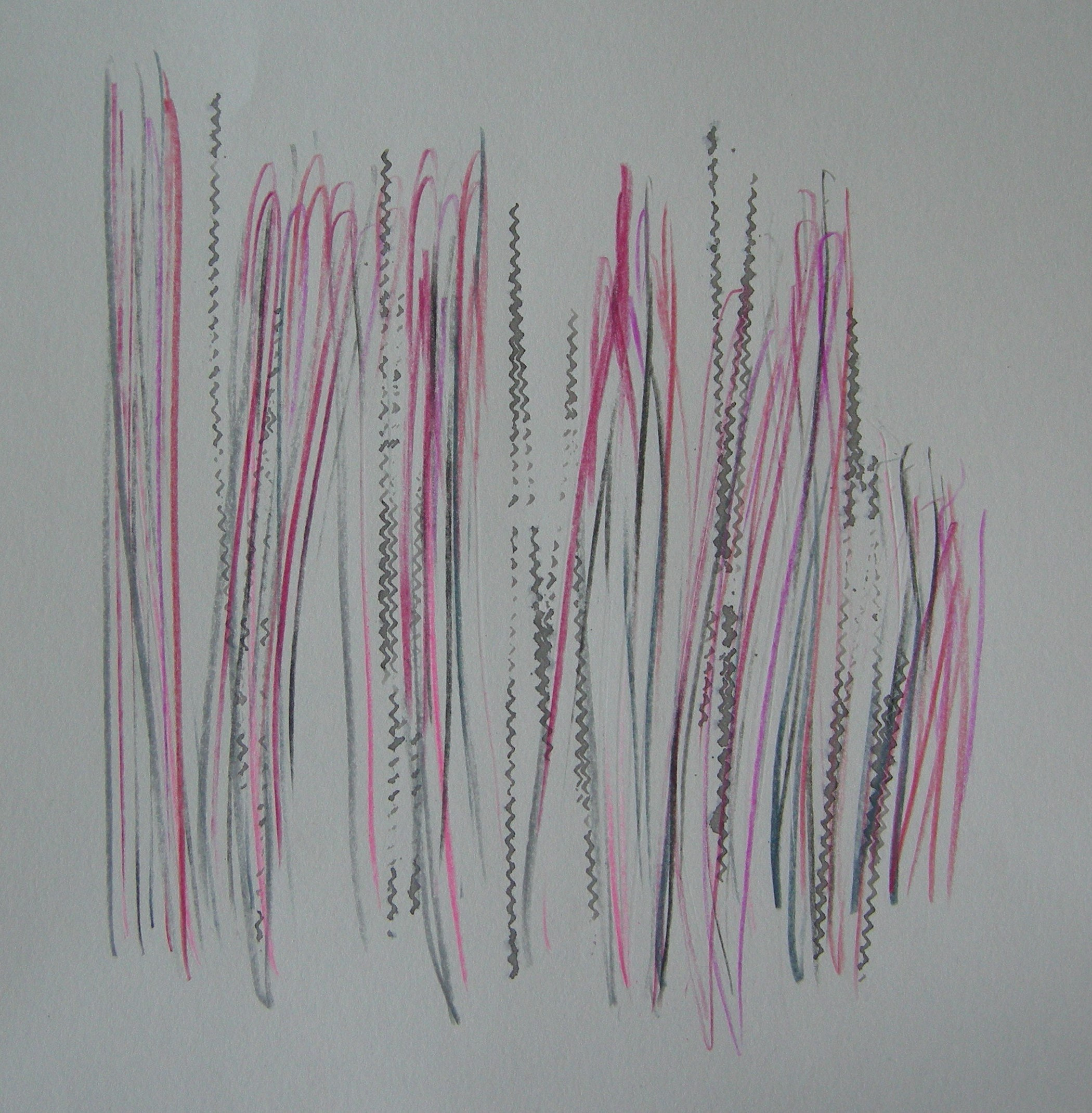O.T. 2024 - 30x30