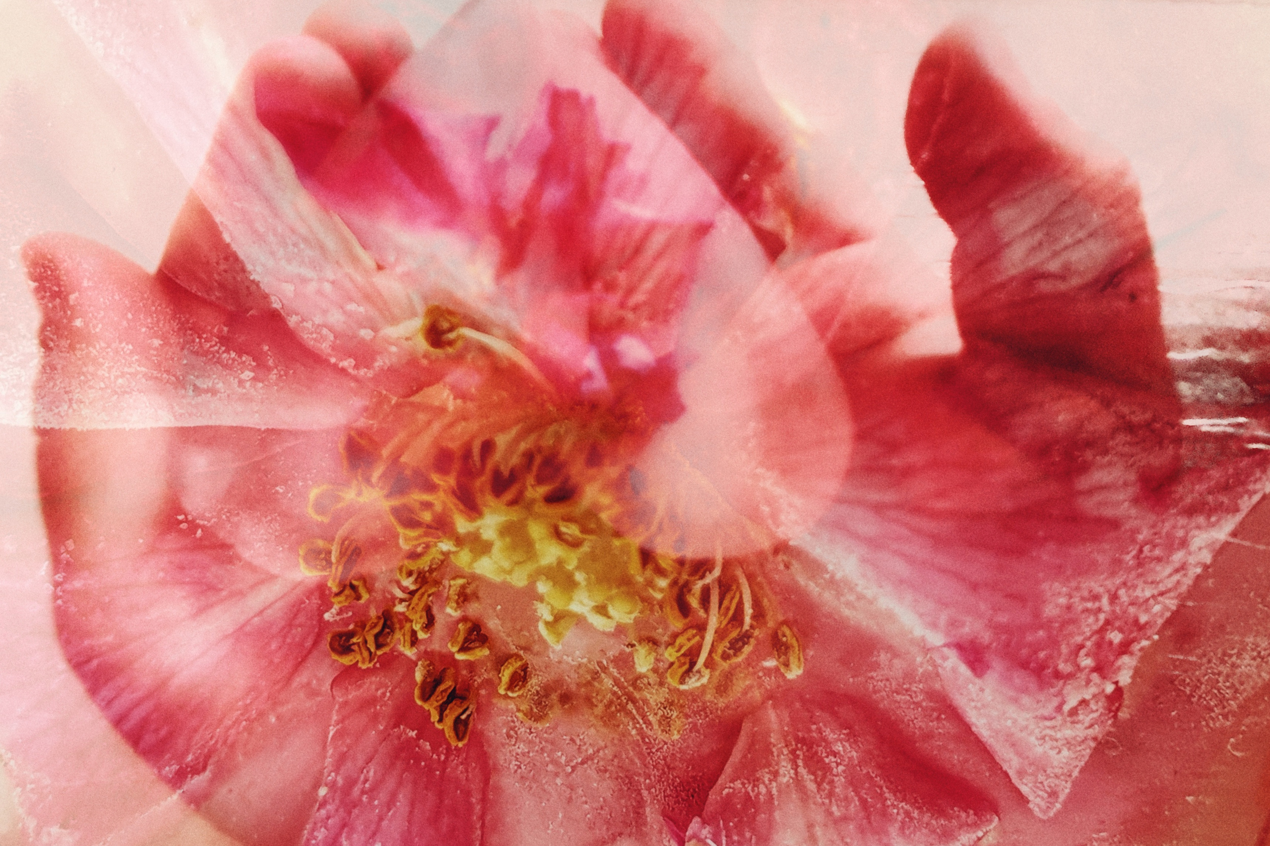 Abstractions and shadow. Consultation on printing in various magazines, illustrations for books