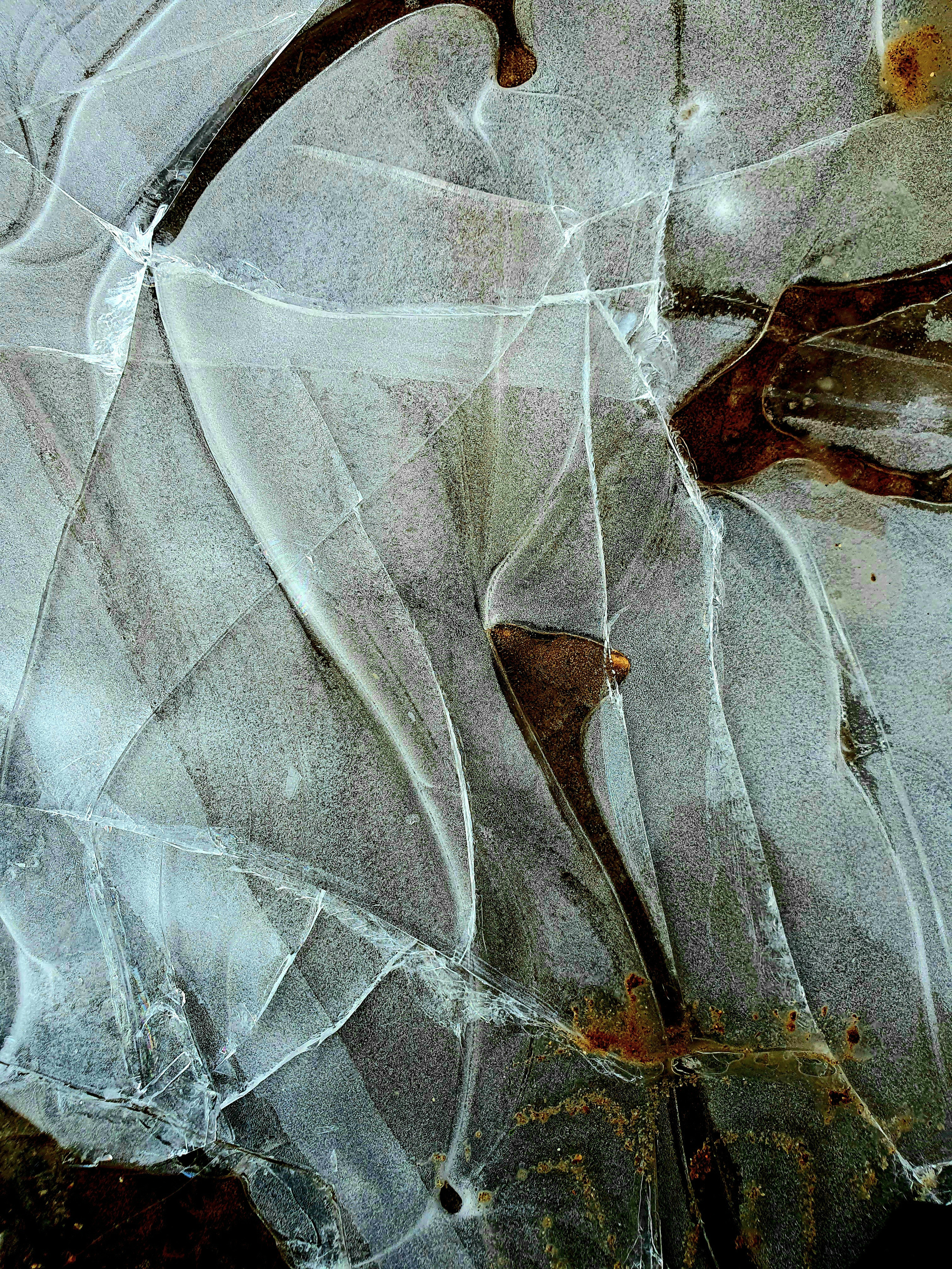 Abstractions and shadow. Consultation on printing in various magazines, illustrations for books