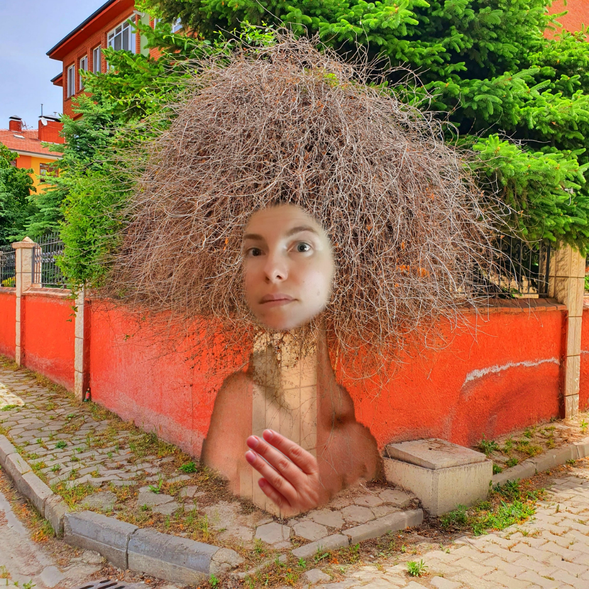 Abstractions and shadow. Consultation on printing in various magazines, illustrations for books