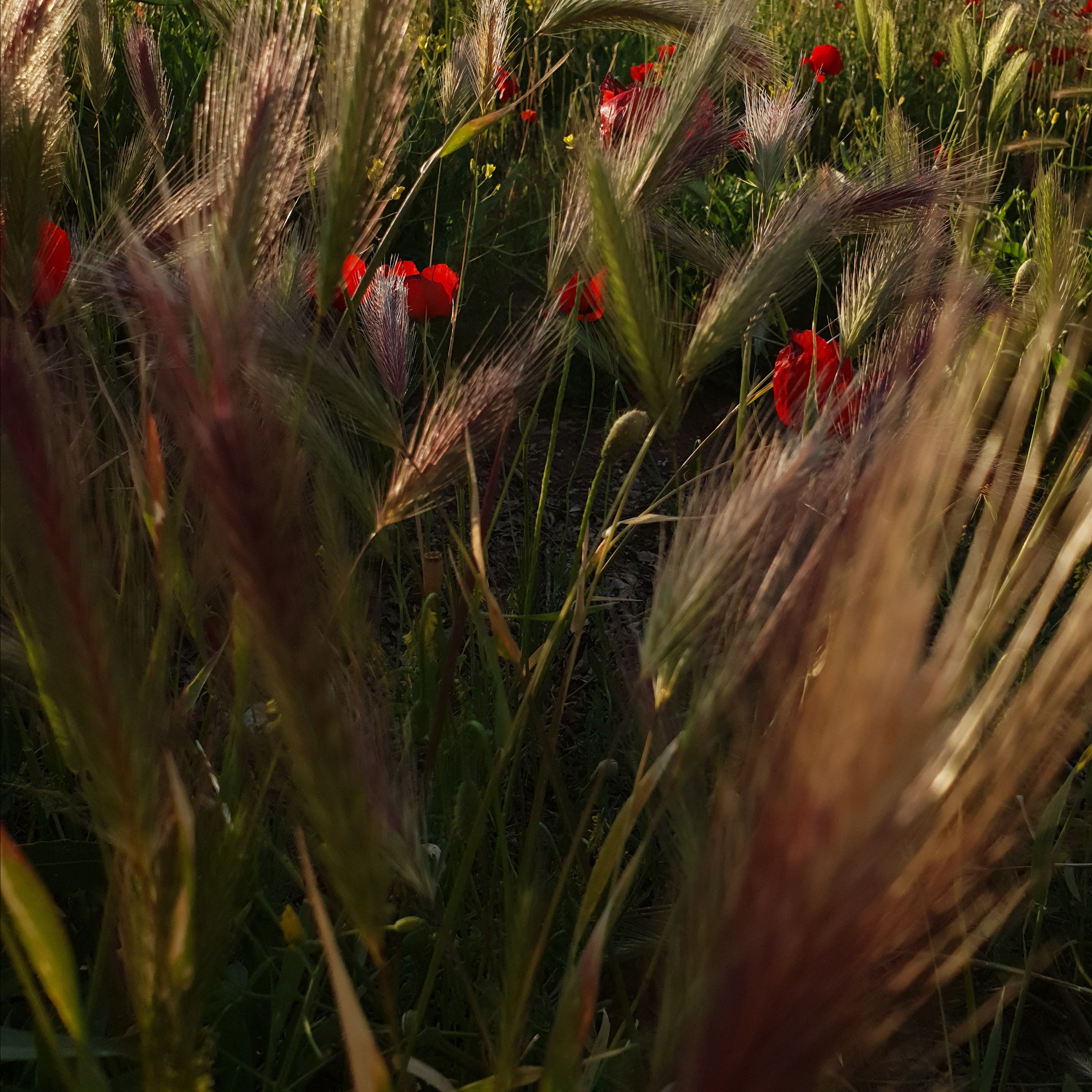 РАЗНОЕ. Современное искусство, глитч арт, glitch art