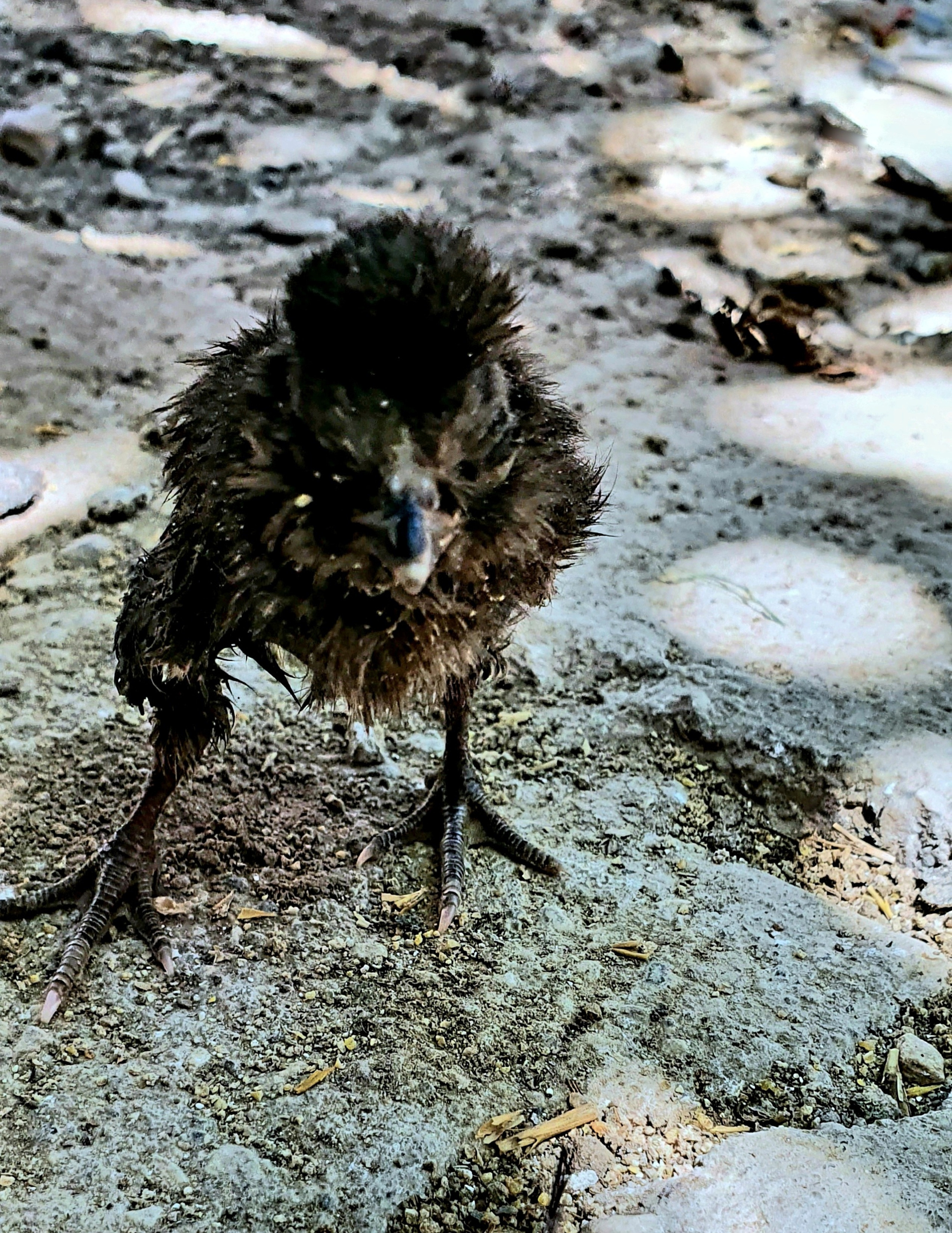 Street фото. Consultation on printing in various magazines, illustrations for books