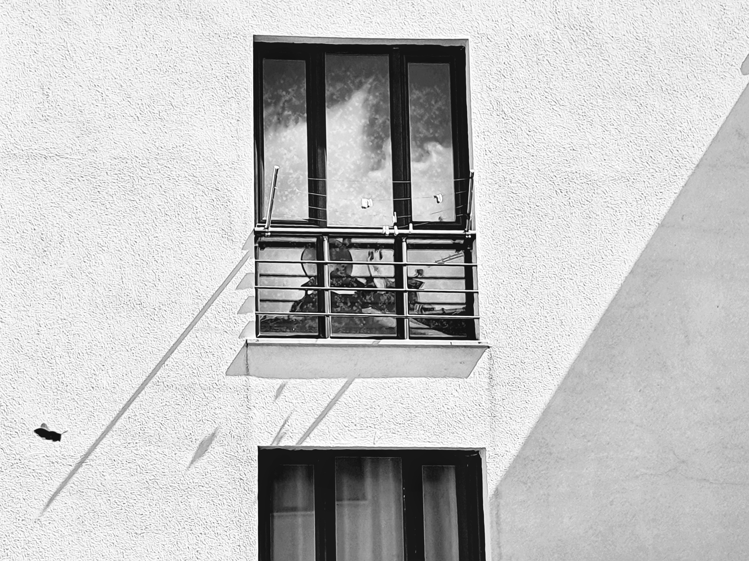 Abstractions and shadow. Consultation on printing in various magazines, illustrations for books