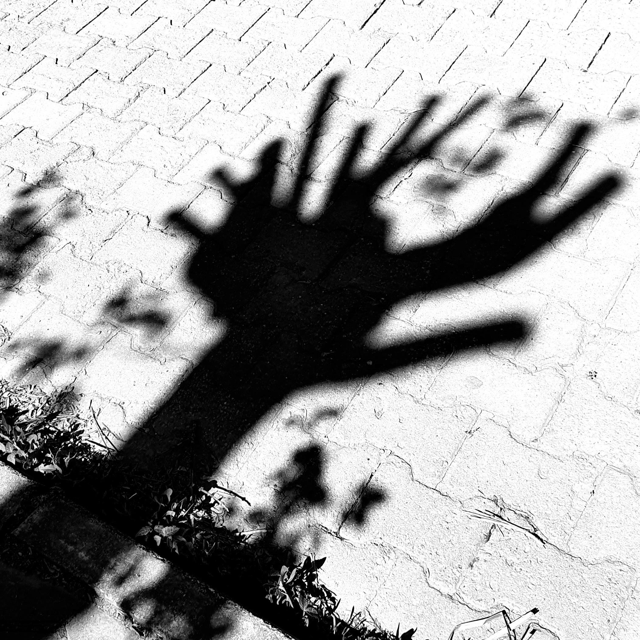 Abstractions and shadow. Consultation on printing in various magazines, illustrations for books