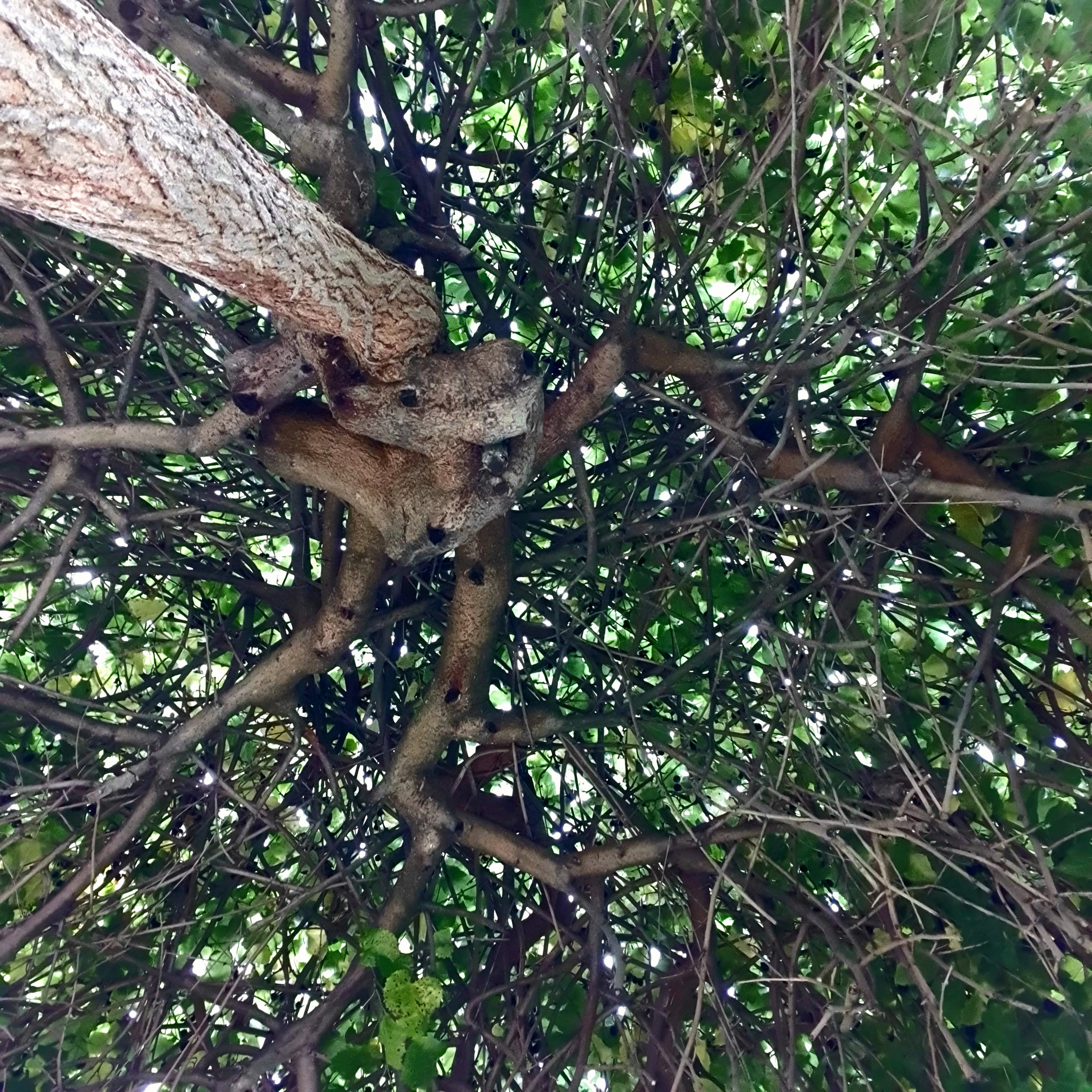 РАЗНОЕ. Современное искусство, глитч арт, glitch art