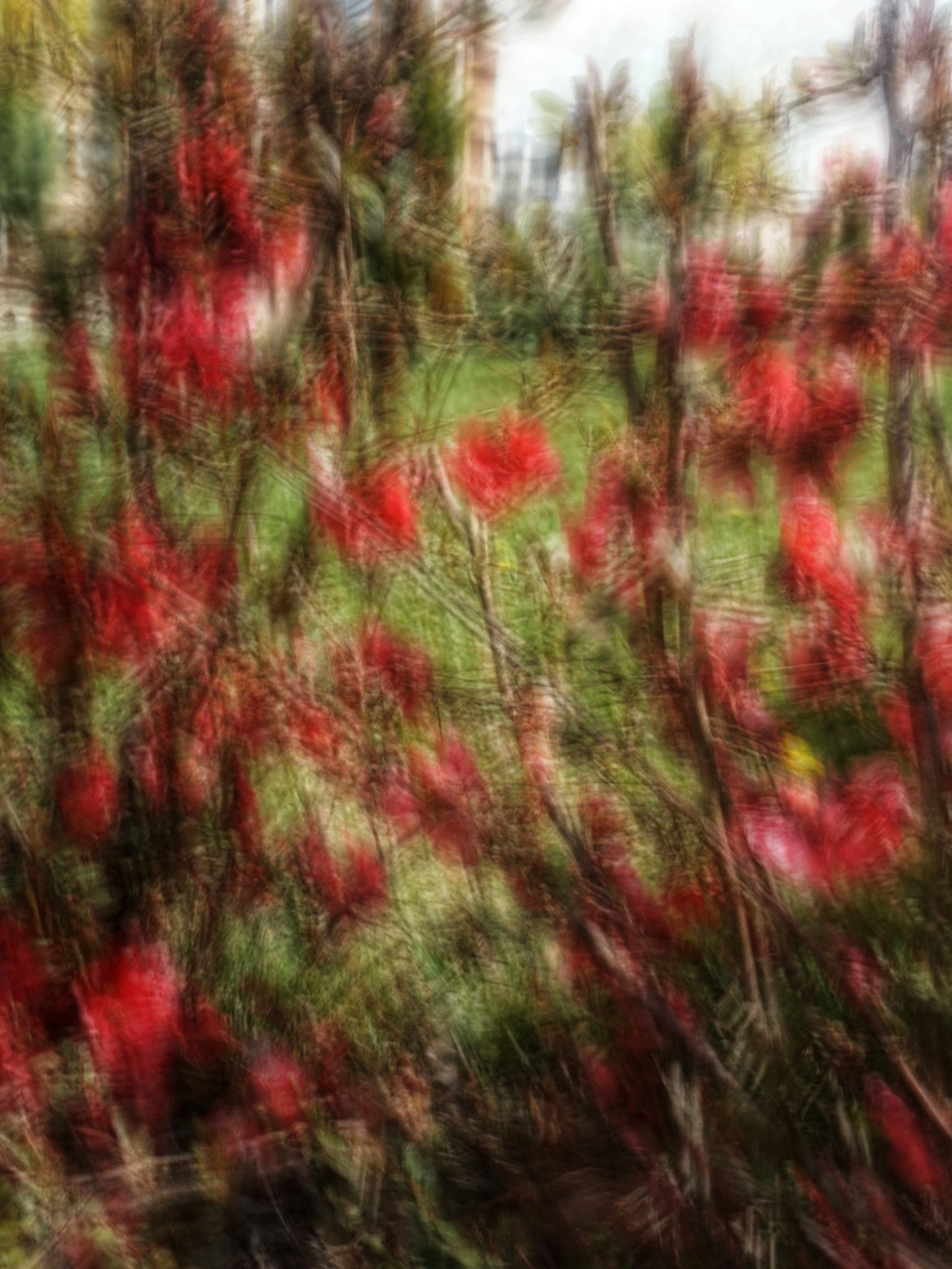 РАЗНОЕ. Современное искусство, глитч арт, glitch art