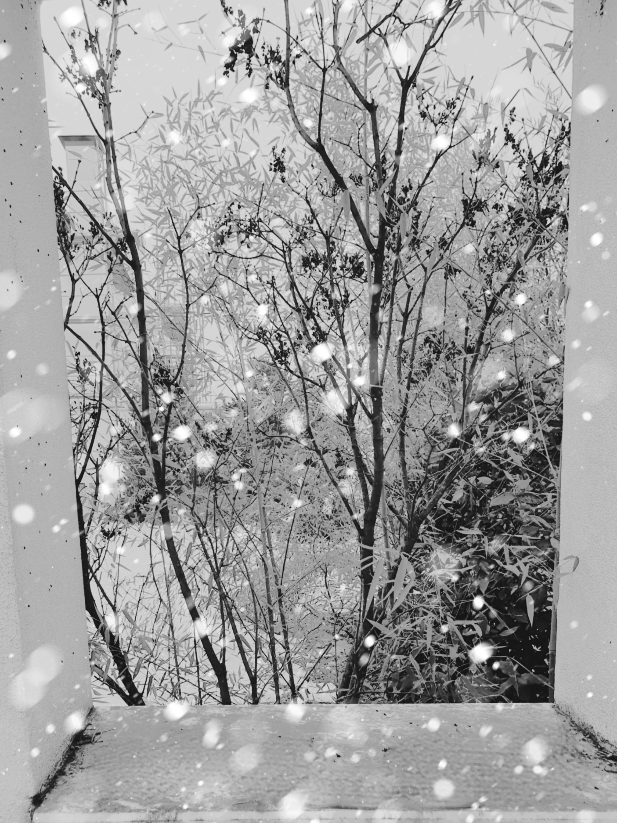 РАЗНОЕ. Современное искусство, глитч арт, glitch art