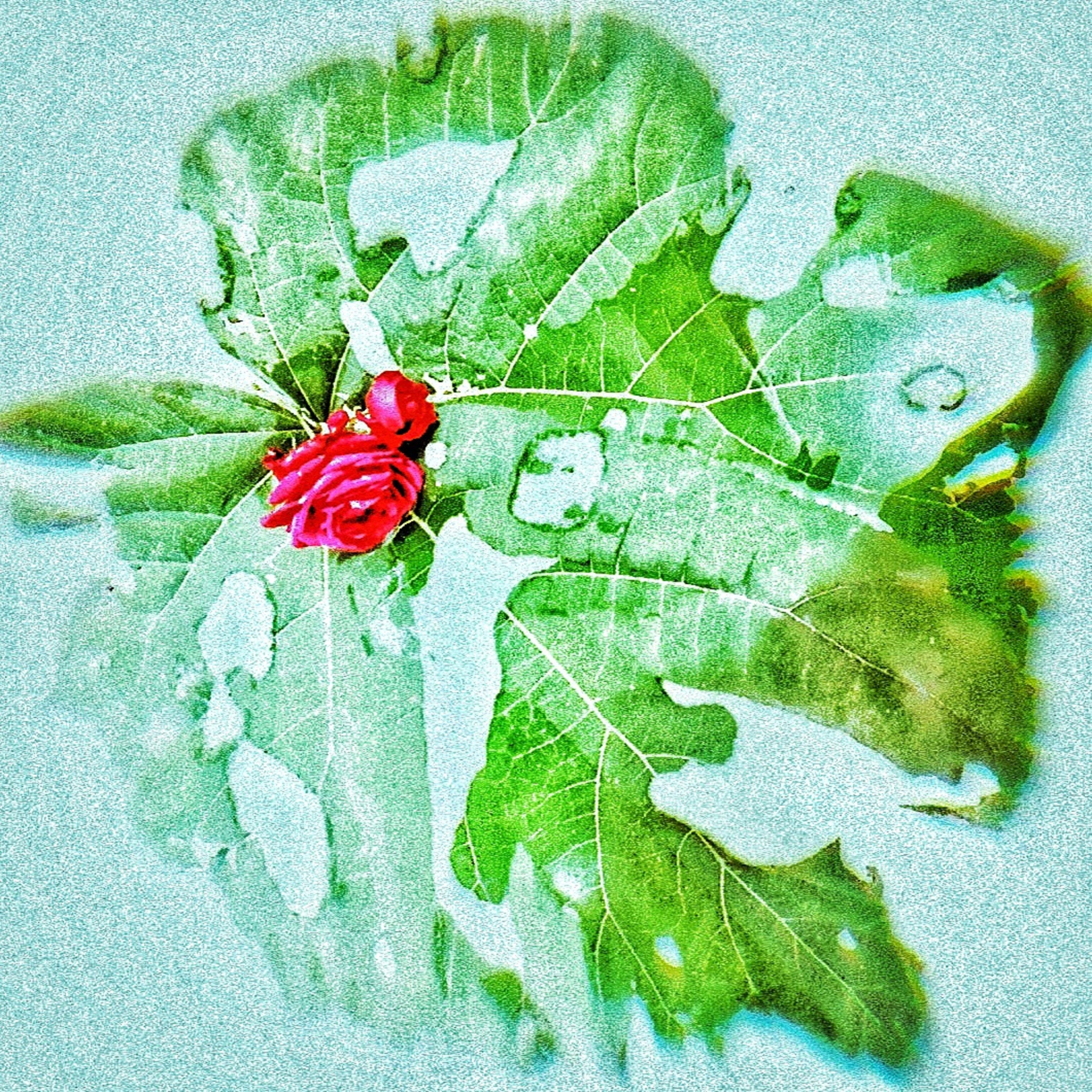 РАЗНОЕ. Современное искусство, глитч арт, glitch art