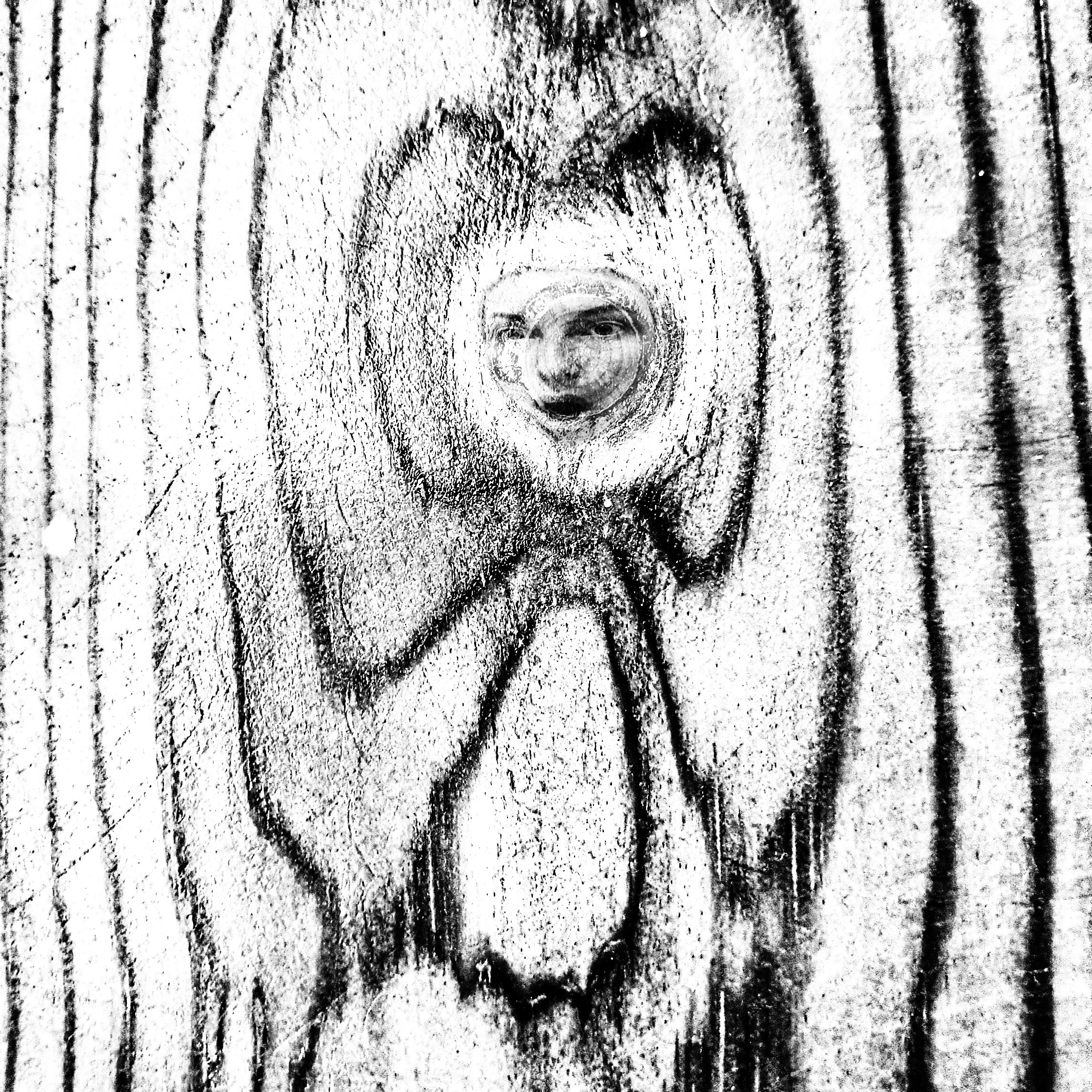 Abstractions and shadow. Consultation on printing in various magazines, illustrations for books