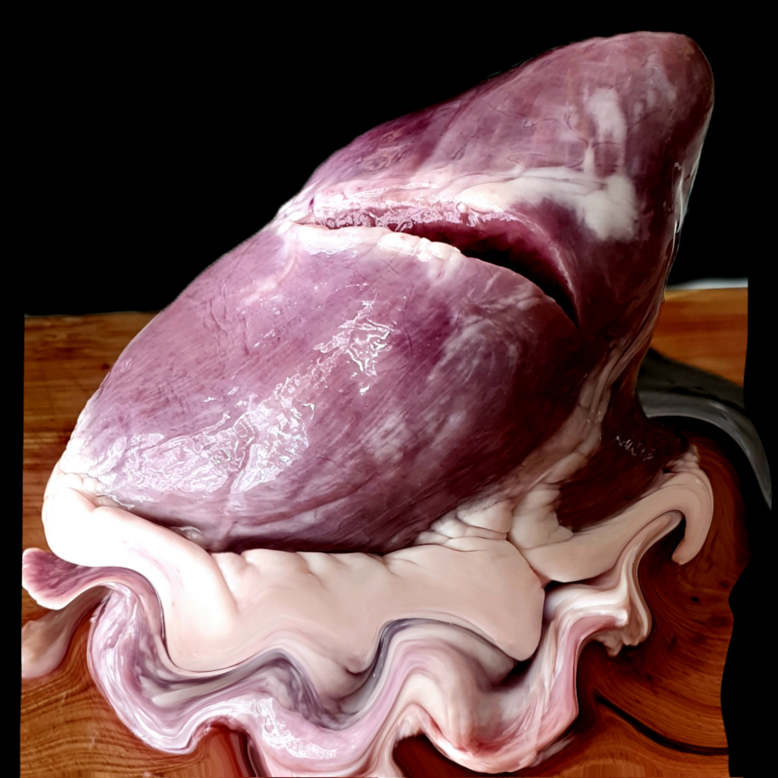 Abstractions and shadow. Consultation on printing in various magazines, illustrations for books