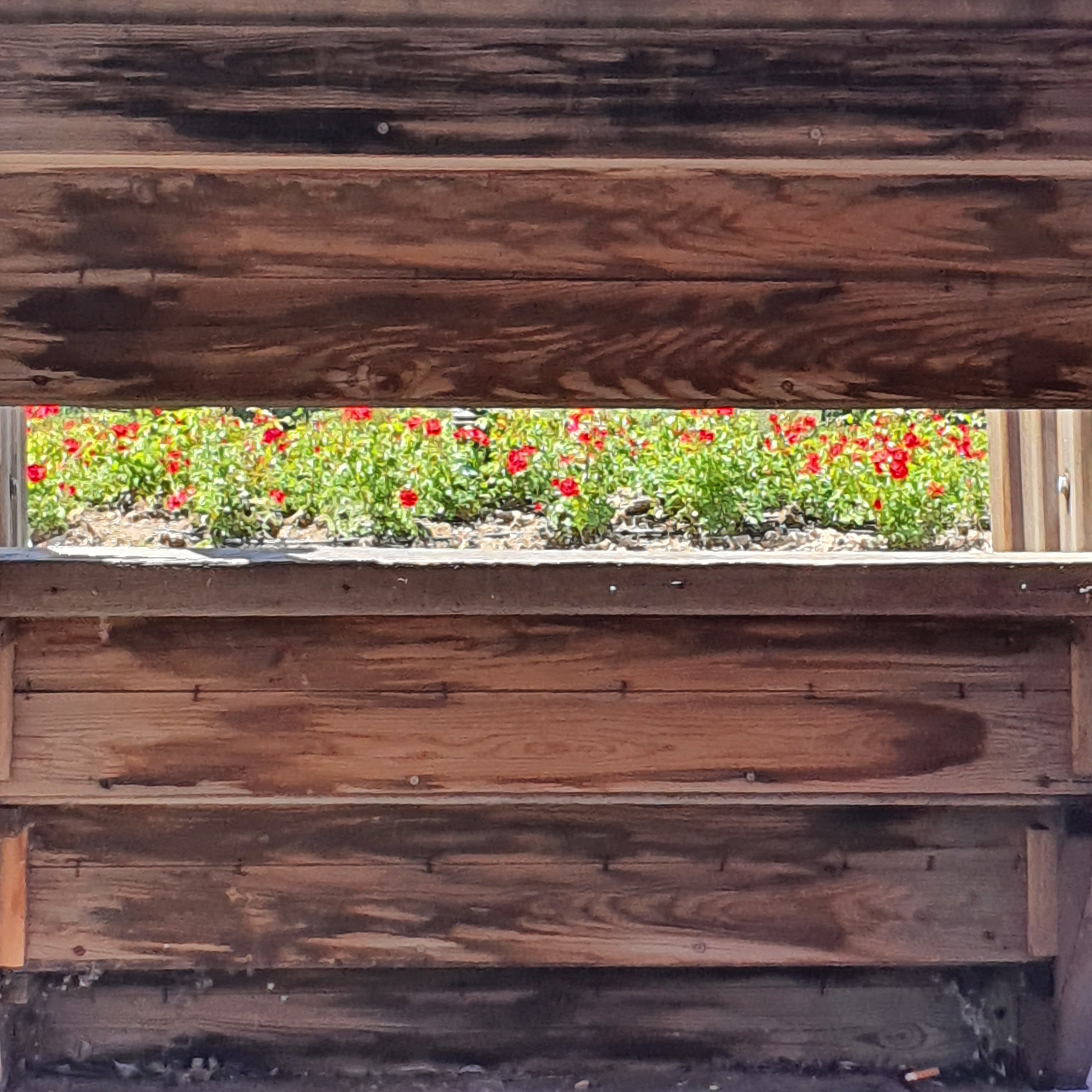 РАЗНОЕ. Современное искусство, глитч арт, glitch art