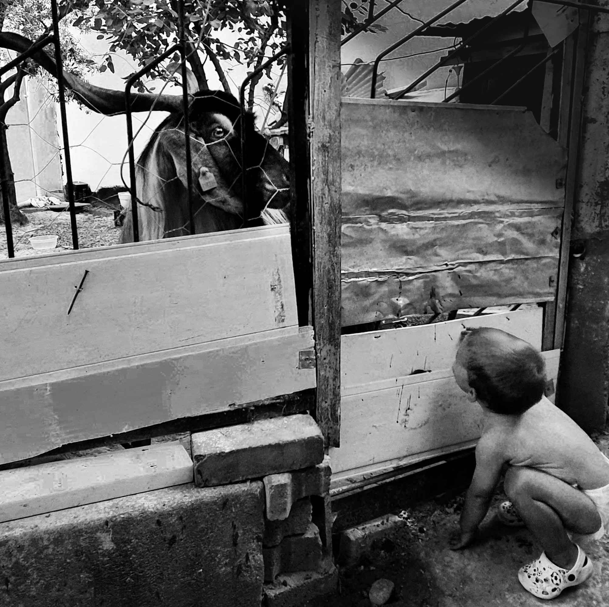 Street фото. Consultation on printing in various magazines, illustrations for books