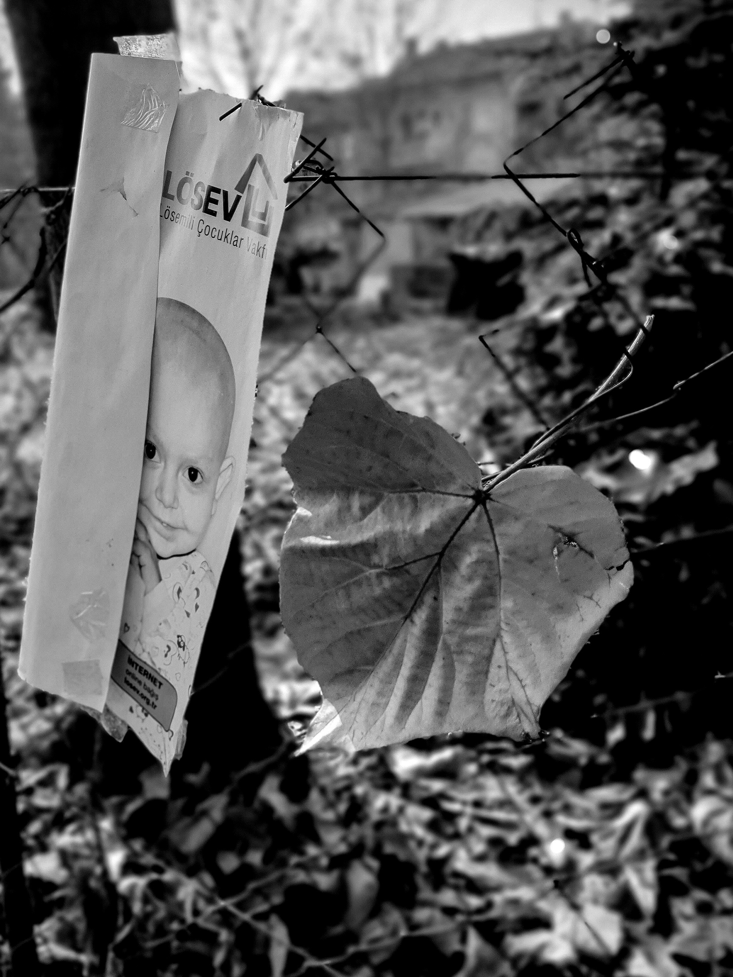 ФОТОПРОЕКТЫ. Современное искусство, глитч арт, glitch art