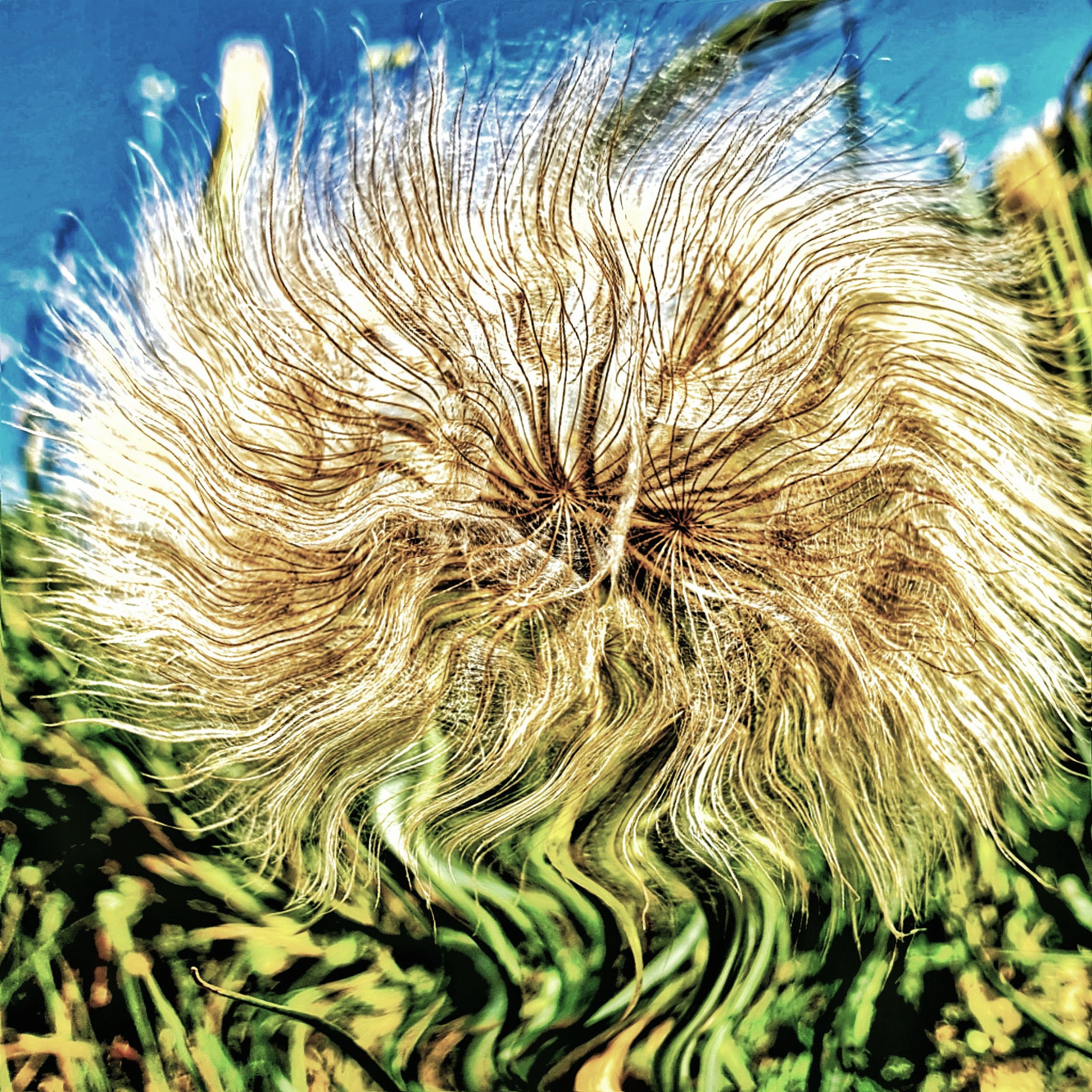 РАЗНОЕ. Современное искусство, глитч арт, glitch art