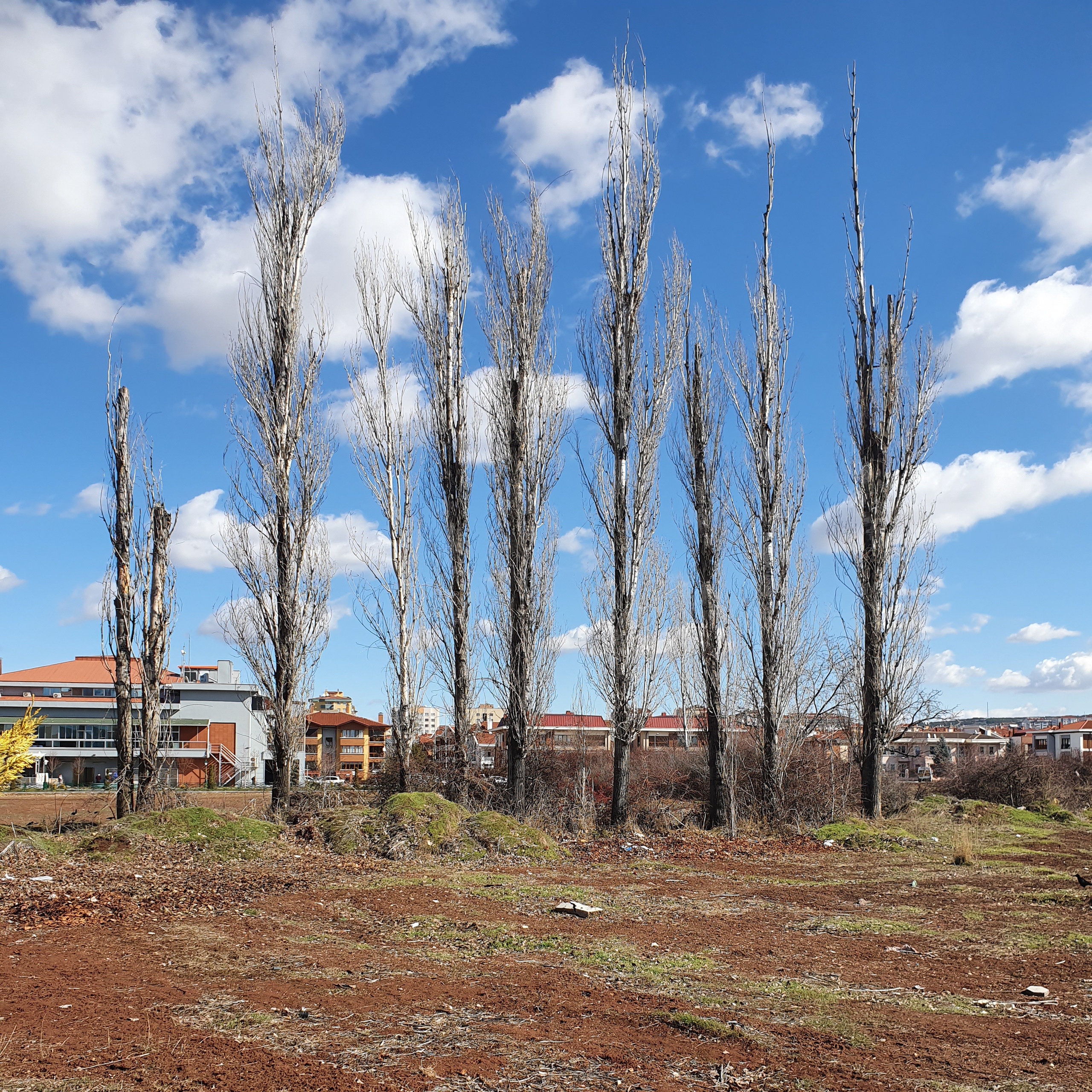 РАЗНОЕ. Современное искусство, глитч арт, glitch art