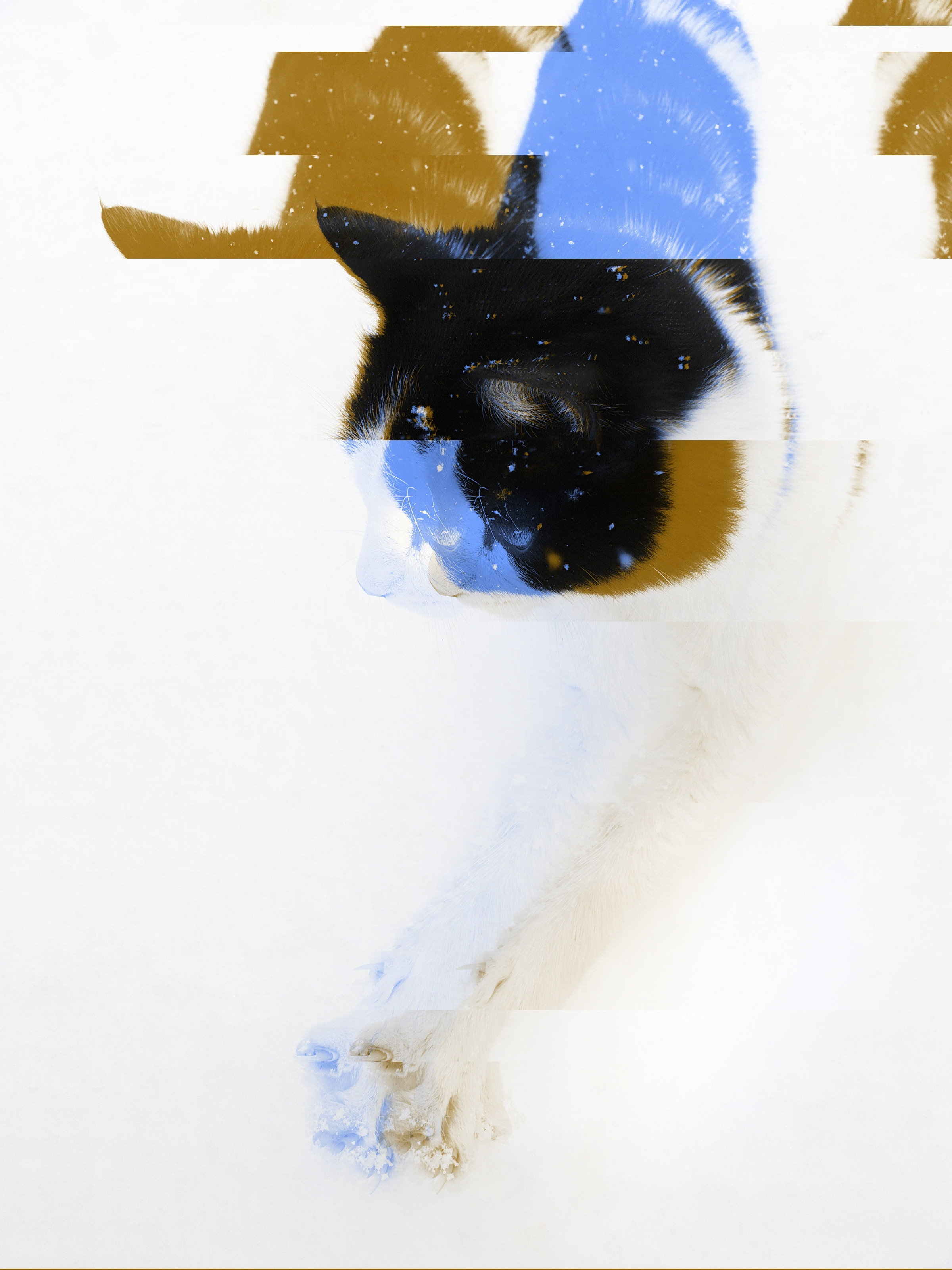 Glitch art. Современное искусство, глитч арт, glitch art